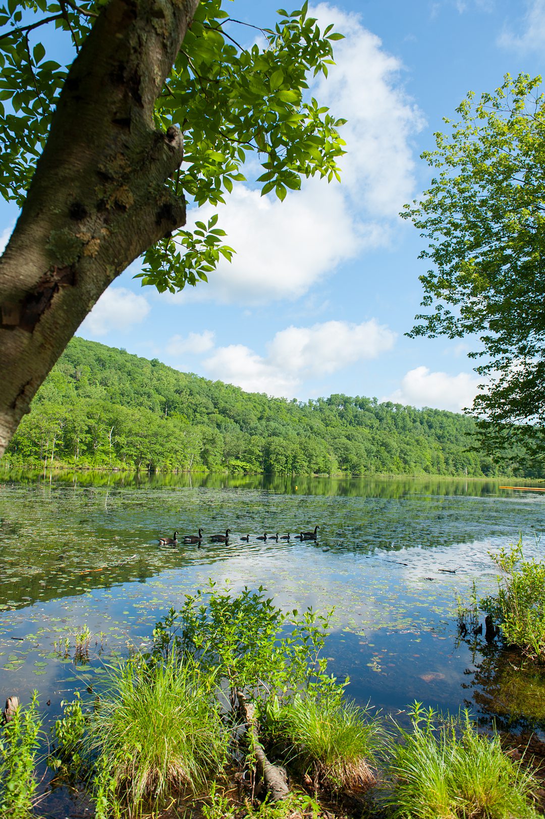 A beautiful lake is on the property of Club Getaway in Kent, CT. This summer camp wedding is close to NYC. Photographed by Mikkel Paige Photography.