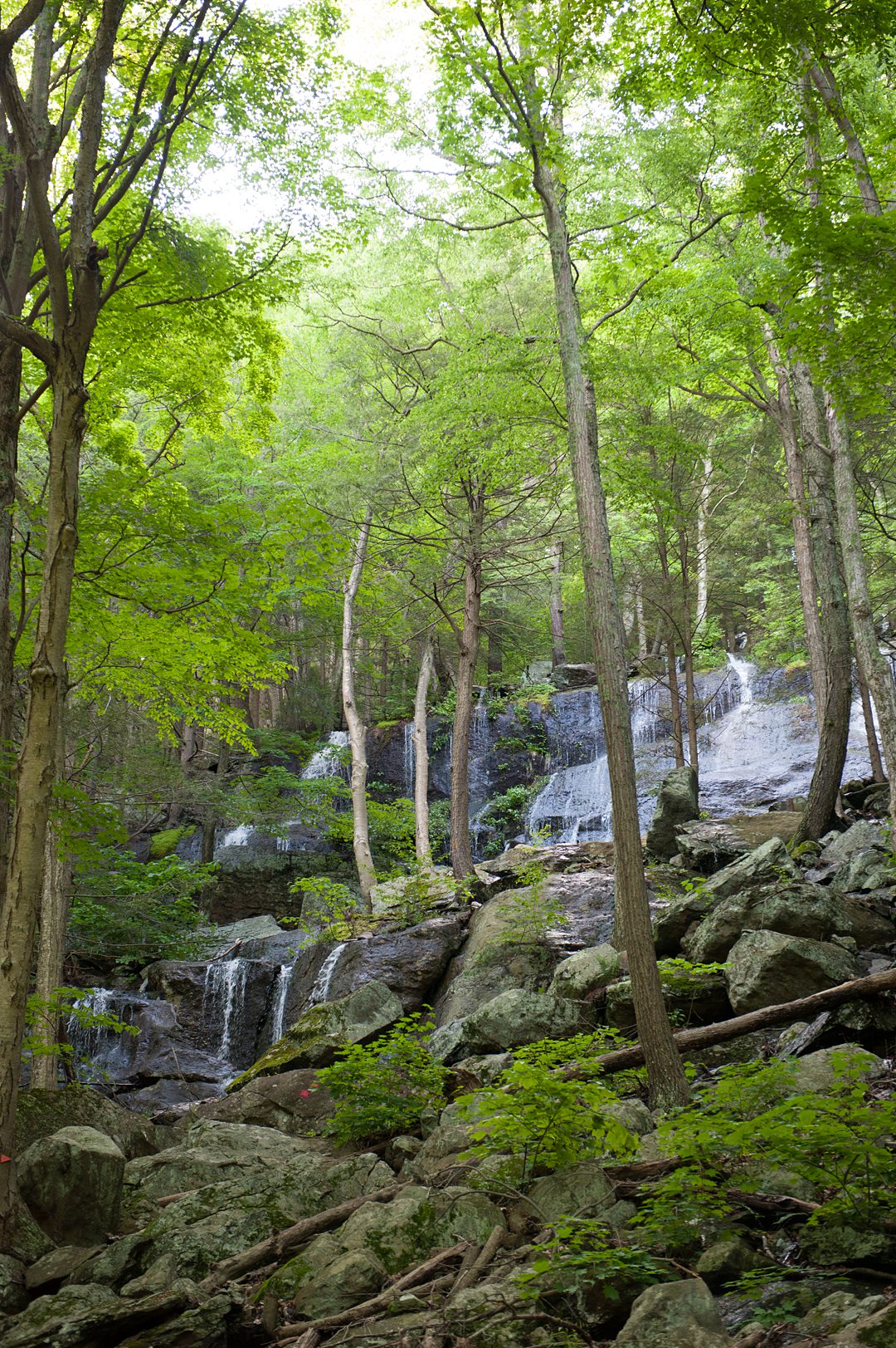 A summer camp wedding weekend at Club Getaway. Photos by Mikkel Paige Photography.