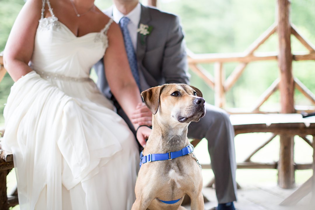 The couple brought their dog to their summer camp wedding at Club Getaway in Kent, Connecticut. Photos by Mikkel Paige Photography.