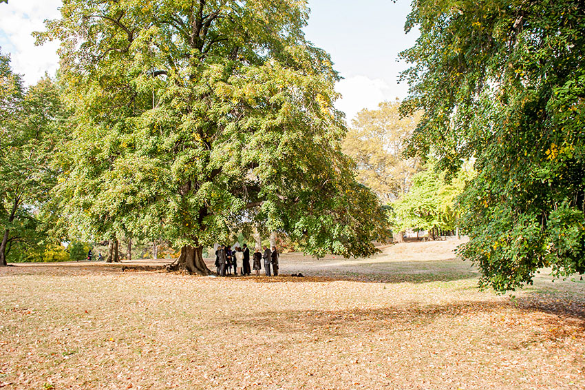 28-mikkelpaige-genna_jp-brooklyn_elopement_fort_greene