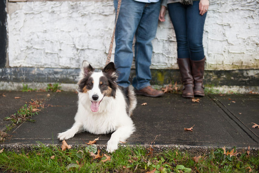 Rustic Fall Engagement Session in Old Westbury, New York | Mikkel Paige Photography
