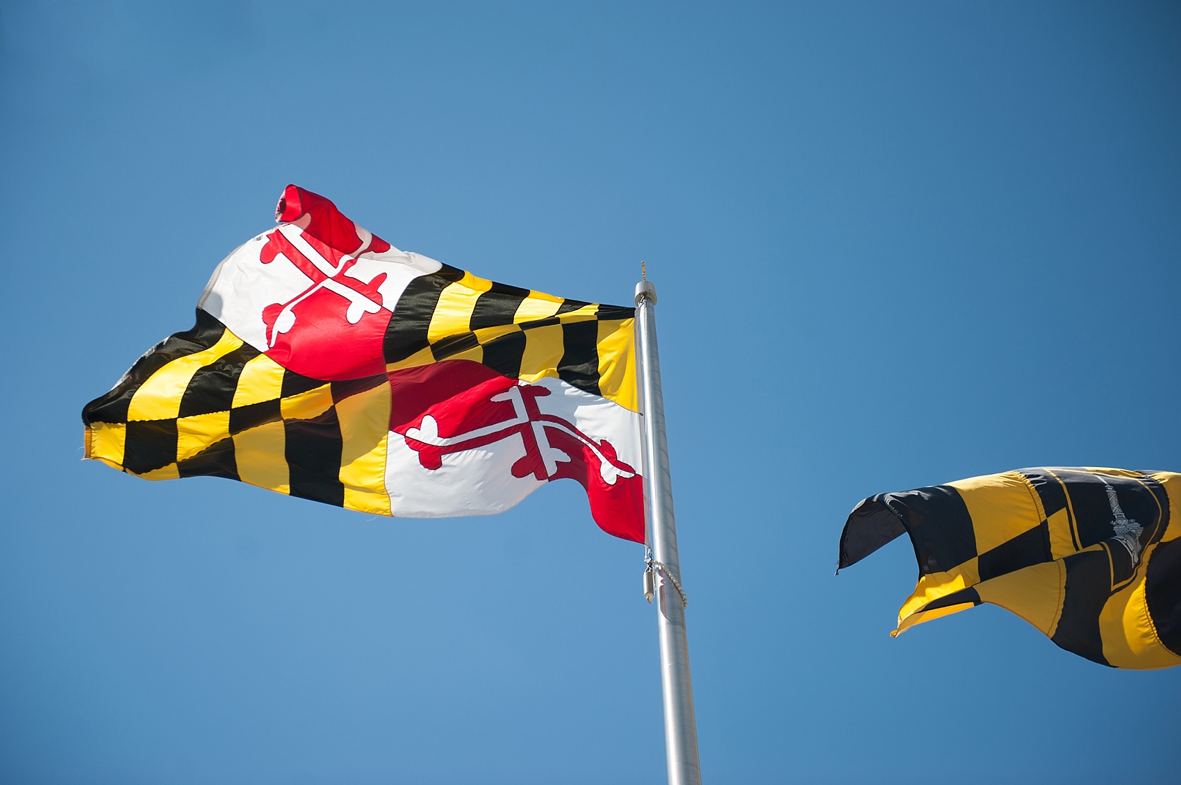 Maryland flag waving proudly for a downtown Baltimore wedding. Photos by Mikkel Paige Photography.
