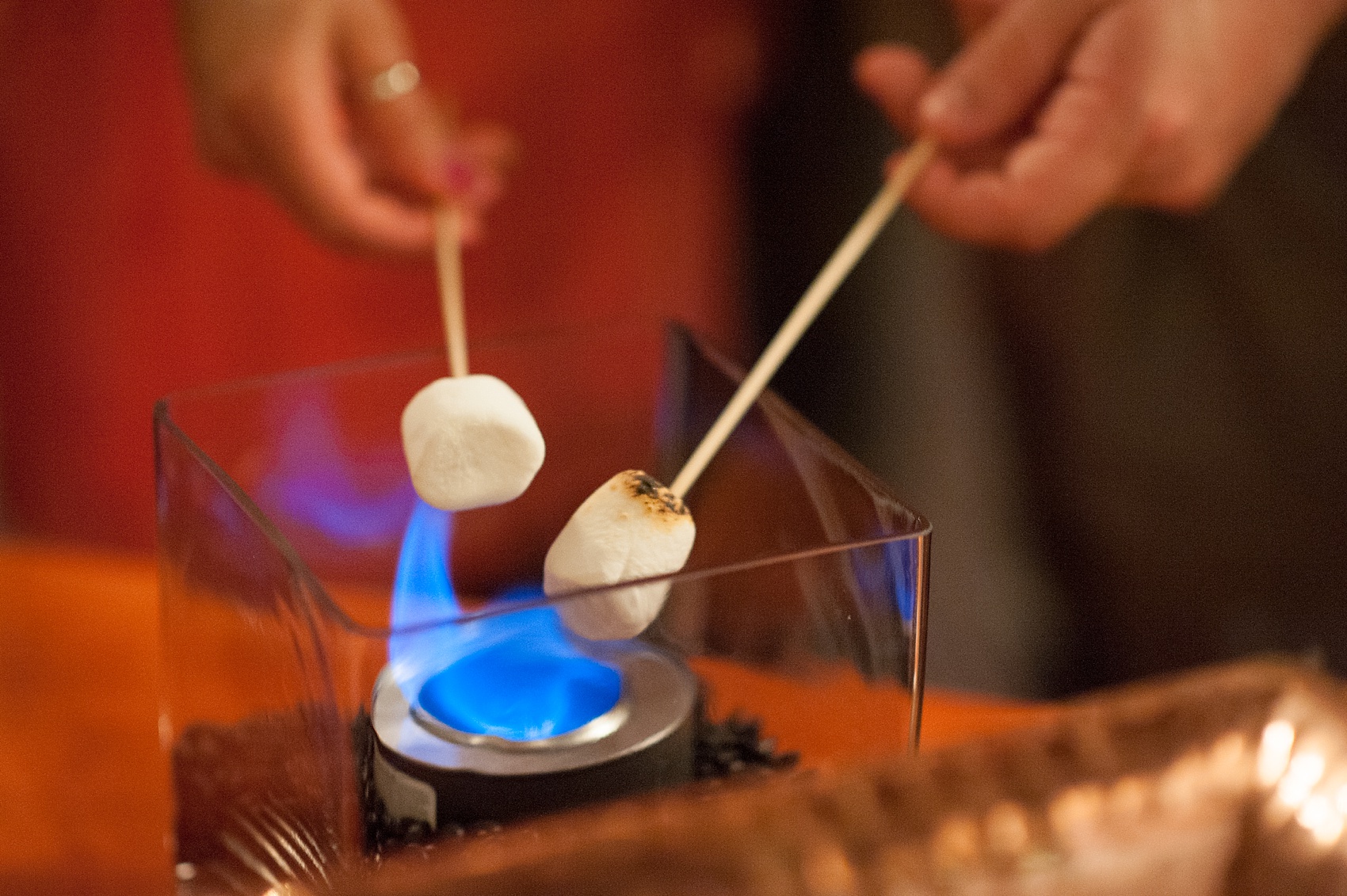 S'mores station for dessert at an 1840s Ballroom wedding in Baltimore, Maryland wedding. Photos by Mikkel Paige Photography.
