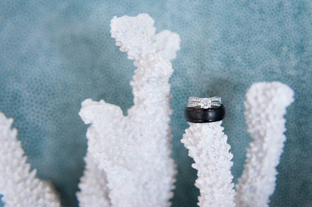 Charleston, South Carolina wedding photographer. Beach themed ring shot with coral and blue background, image by Mikkel Paige Photography.