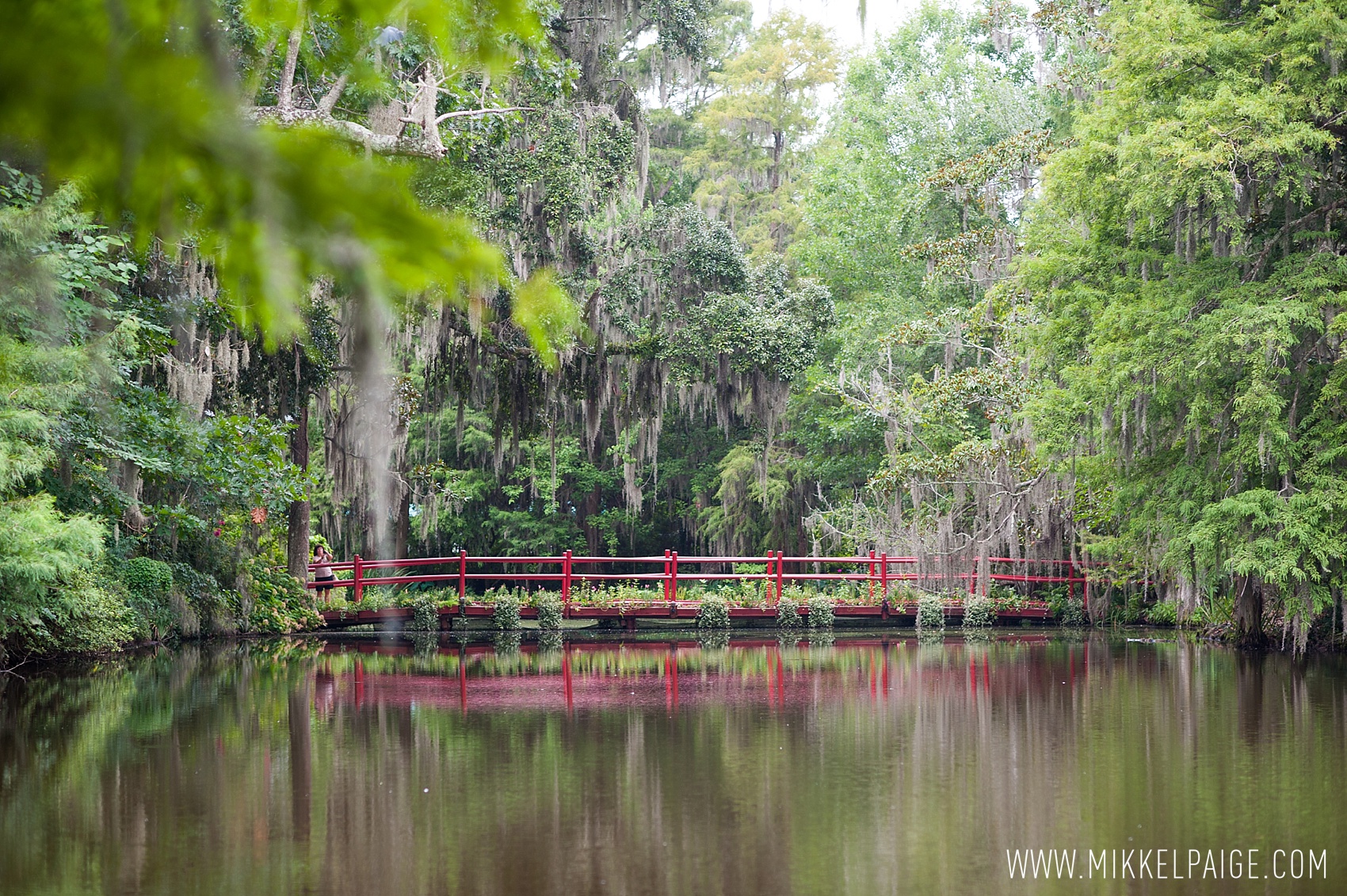 Japanese bridge in Magnolia Plantation, Charleston, SC. Images by Mikkel Paige Photography.