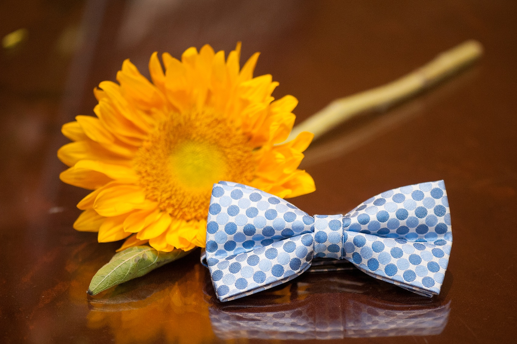 Perona Farms wedding photos patterned blue dot bow ties for a colorful summer celebration. Pictures by New Jersey photographer Mikkel Paige Photography.