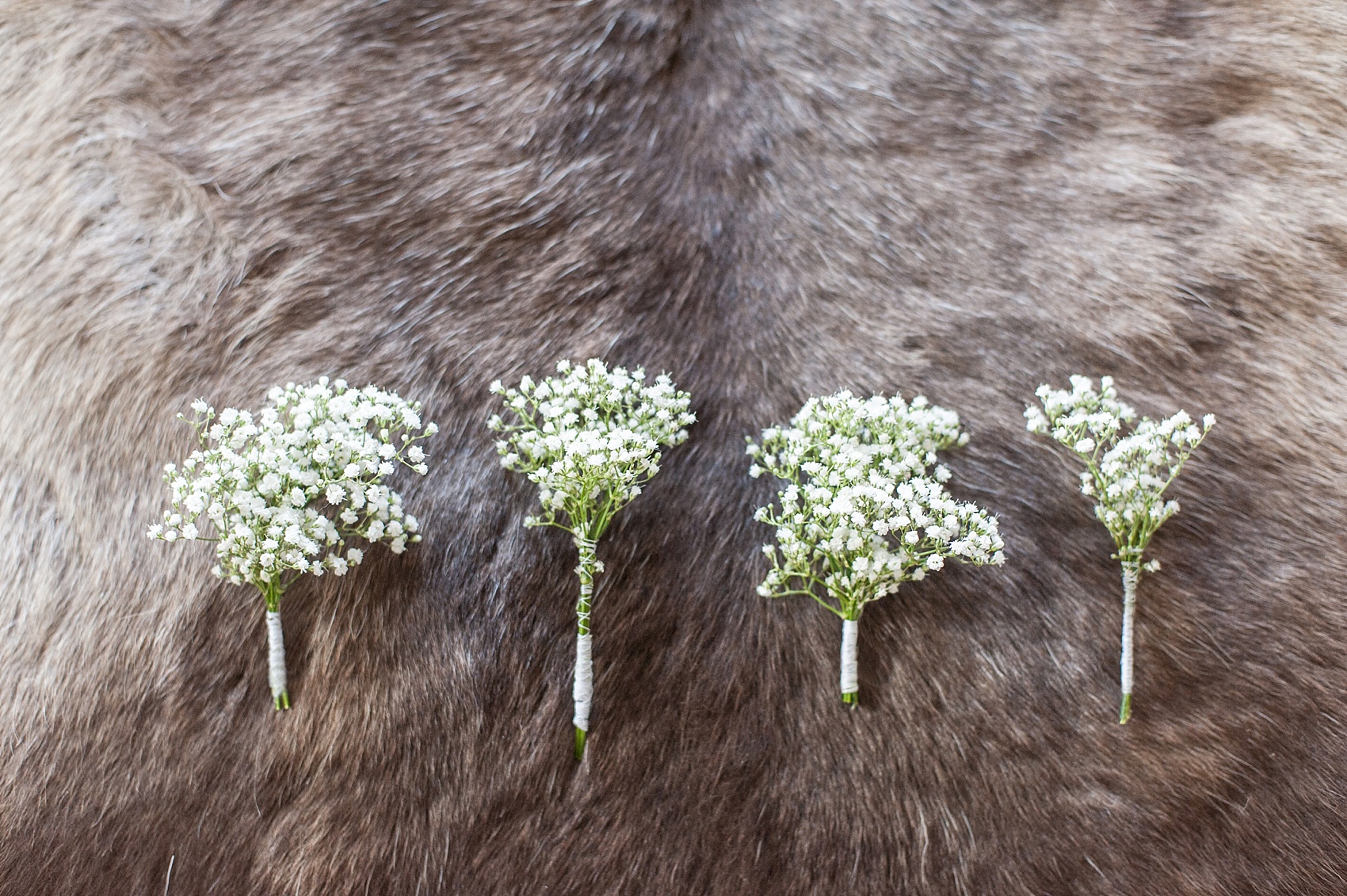 Baby's Breath boutonnieres on reindeer fur for a wedding in Bergen, Norway. Destination photographer Mikkel Paige Photography.