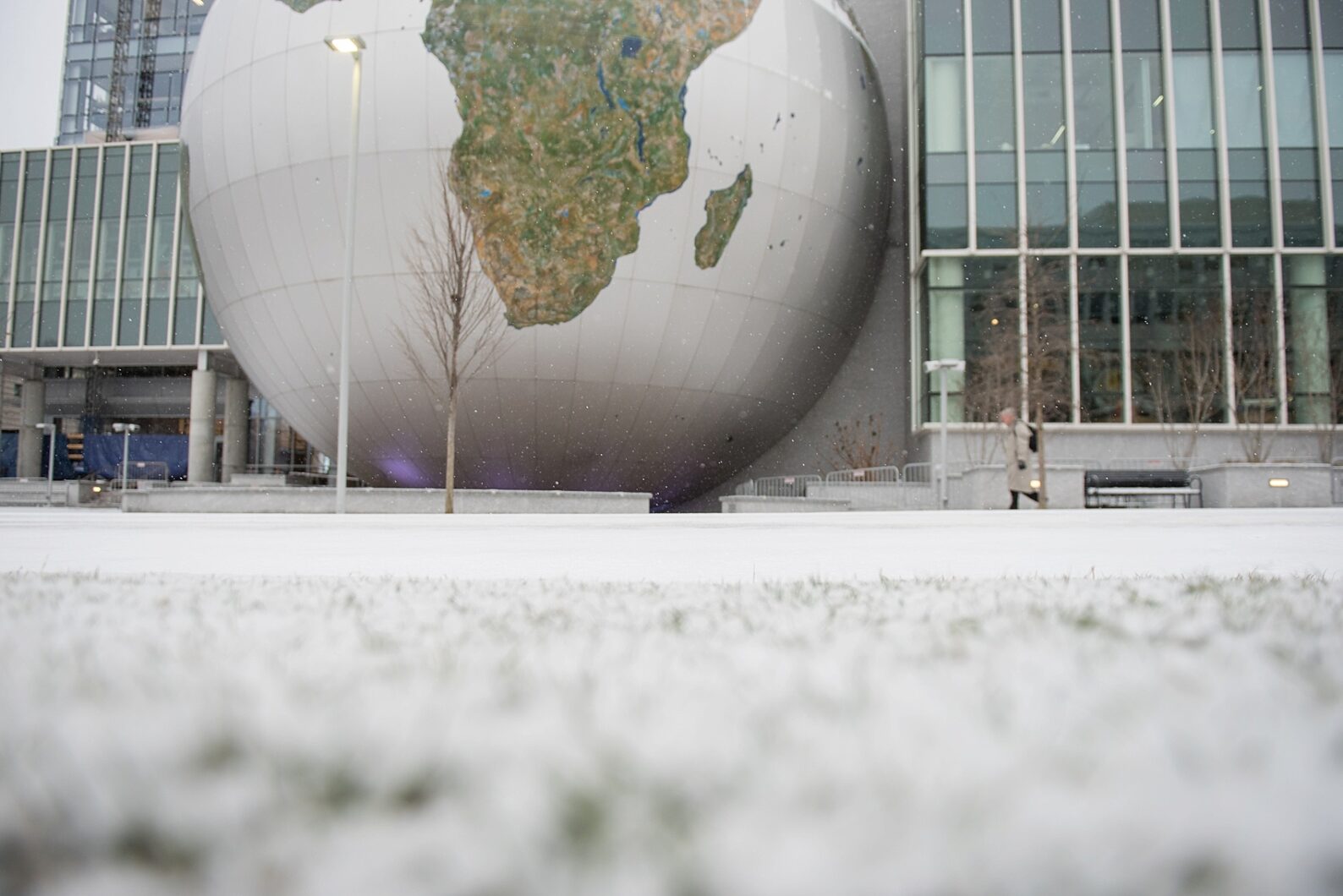Raleigh wedding photographer captures downtown Raleigh snow day, February 2015. Mikkel Paige at The Daily Planet.