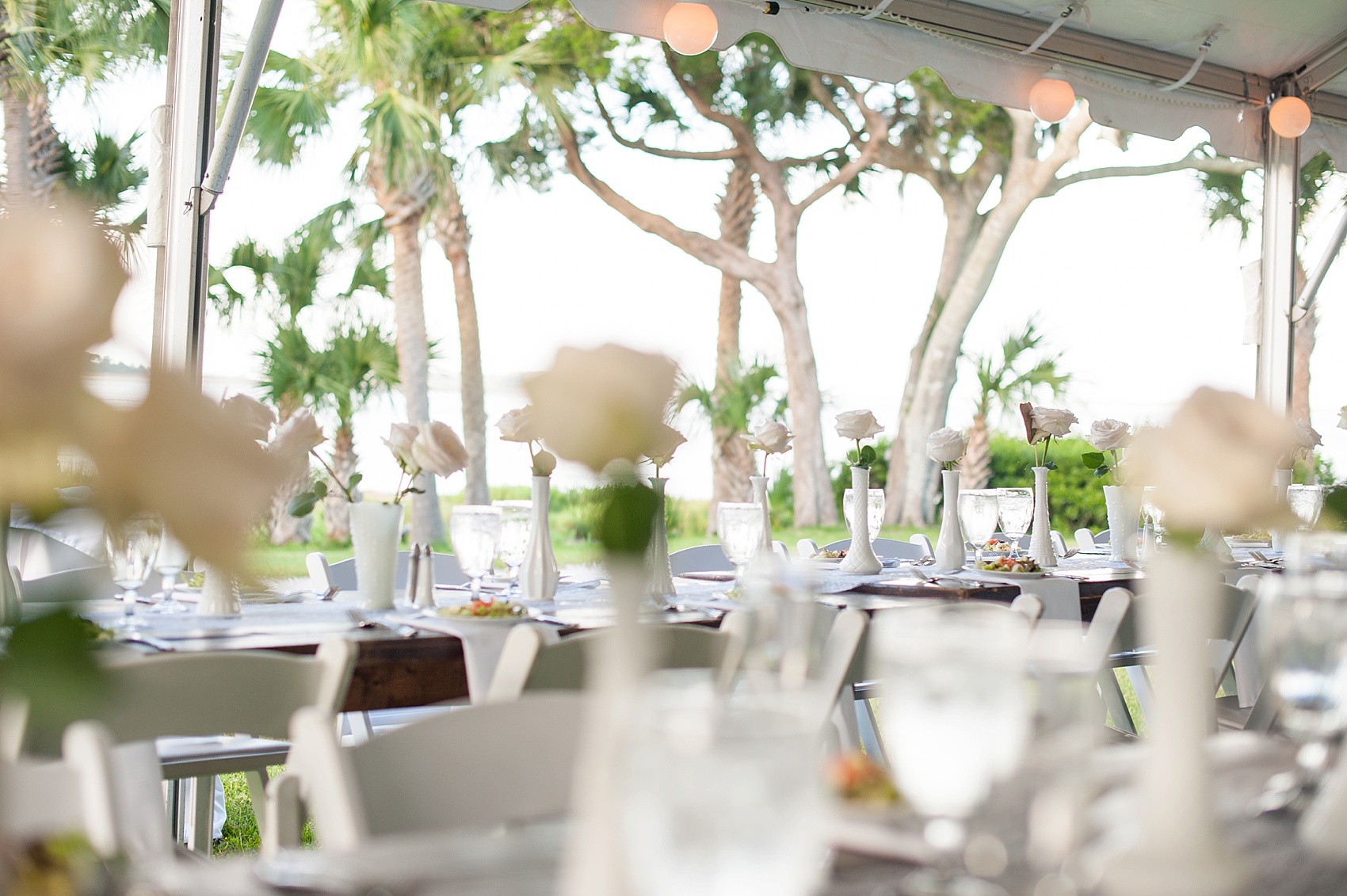 Tented wedding reception for a Haig Point wedding in South Carolina, off the coast of Hilton Head. Farm tables and white roses and vases complete the look. Photos by Mikkel Paige Photography.