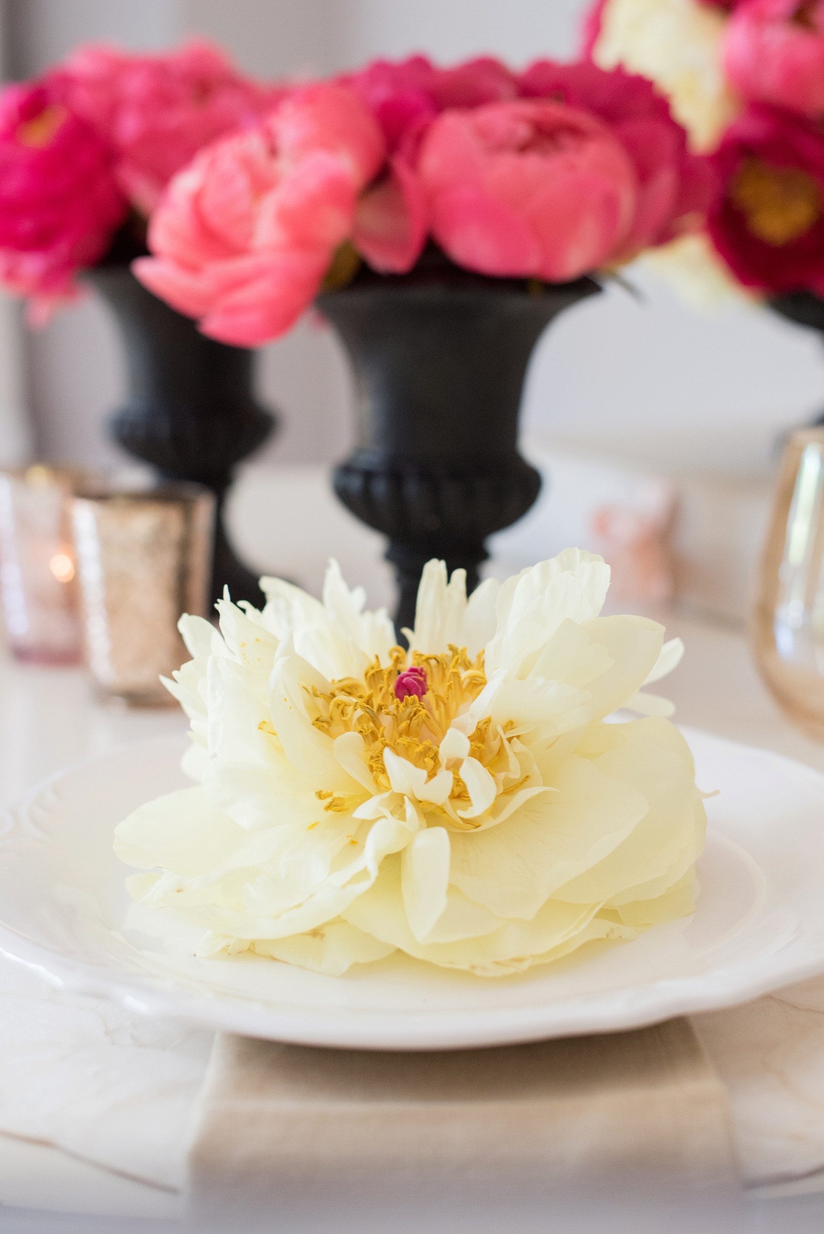 Peonies table with yellow, coral and deep pink blooms photographed by Raleigh Wedding Photographer, Mikkel Paige.