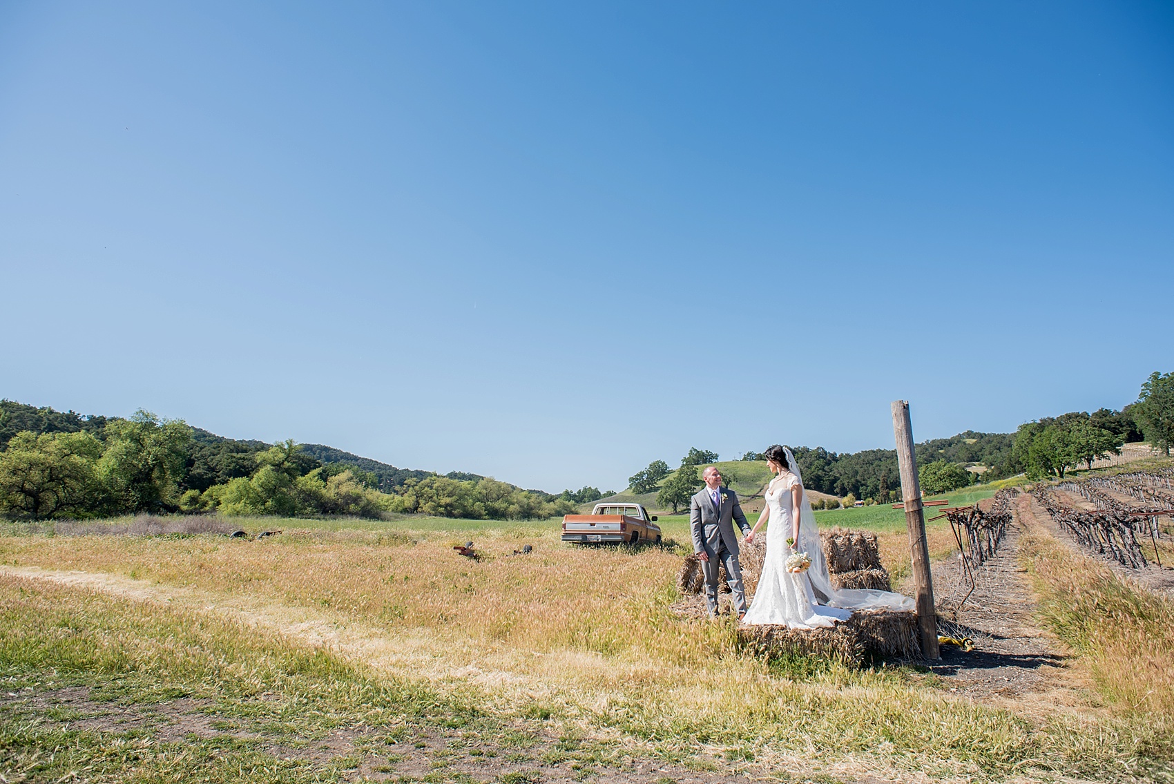 Vineyard elopement, bride and groom photos, with Mikkel Paige, destination wedding photographer. Held at HammerSky Vineyard, south of San Francisco. 