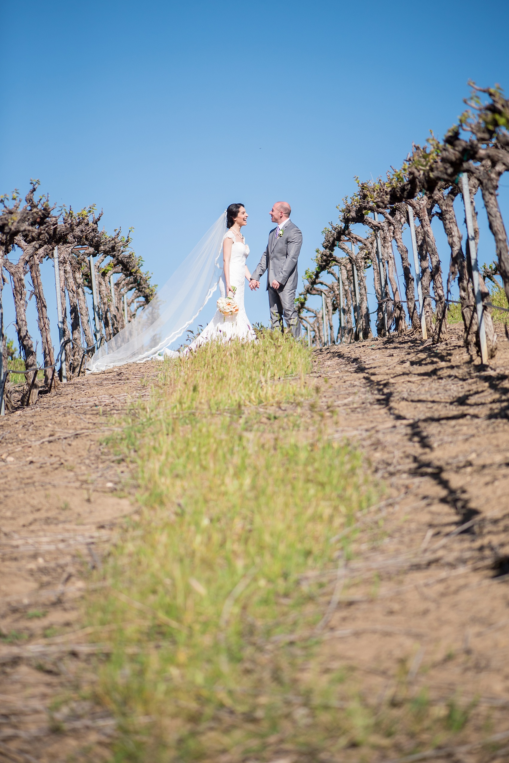 Vineyard elopement, bride and groom photos, with Mikkel Paige, destination wedding photographer. Held at HammerSky Vineyard, south of San Francisco. 