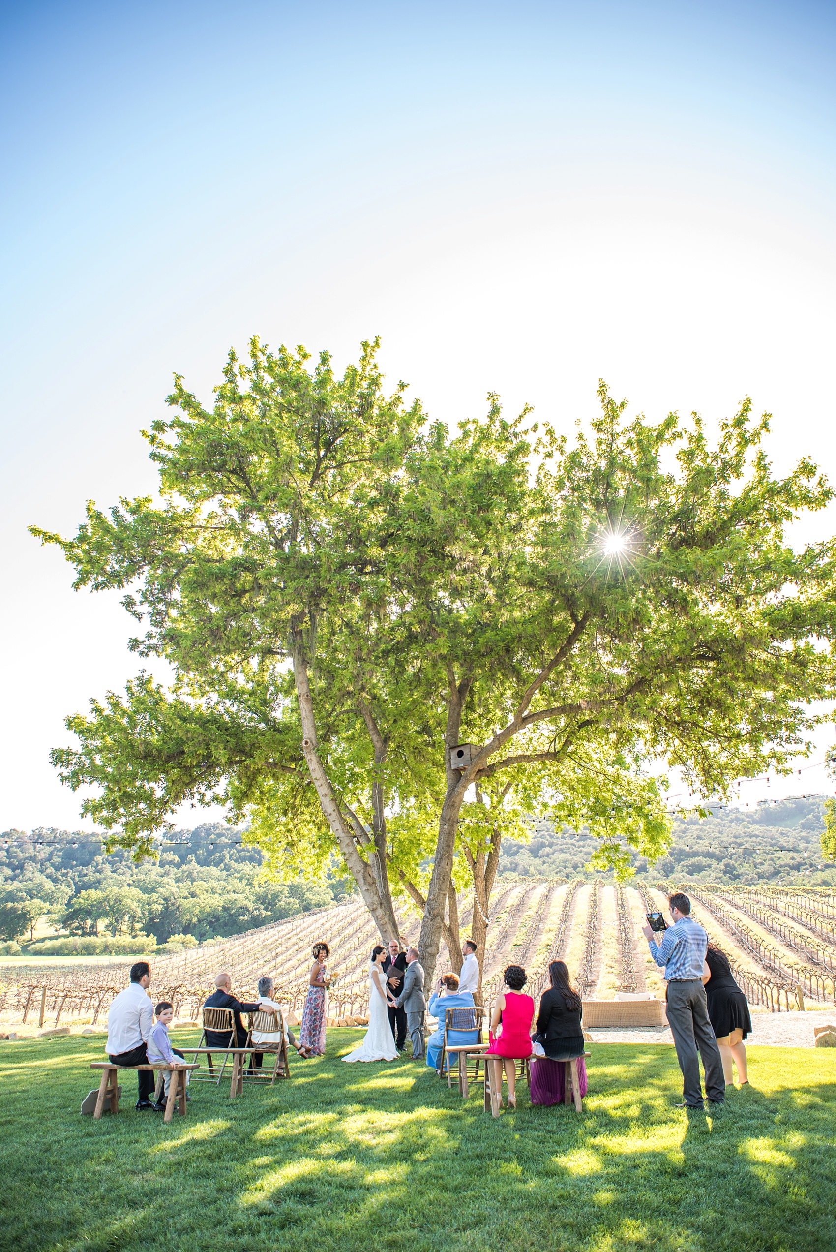 Vineyard elopement, bride and groom spring outdoor ceremony photos, with Mikkel Paige, destination wedding photographer. Held at HammerSky Vineyard, south of San Francisco.