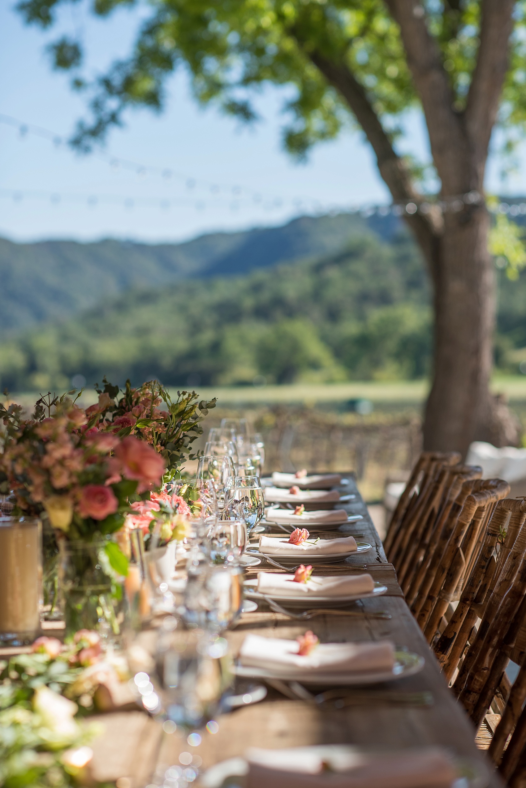 Spring vineyard elopement with pink flowers and barn reception. Photos by Mikkel Paige, destination wedding photographer. Held at HammerSky Vineyard, south of San Francisco. 