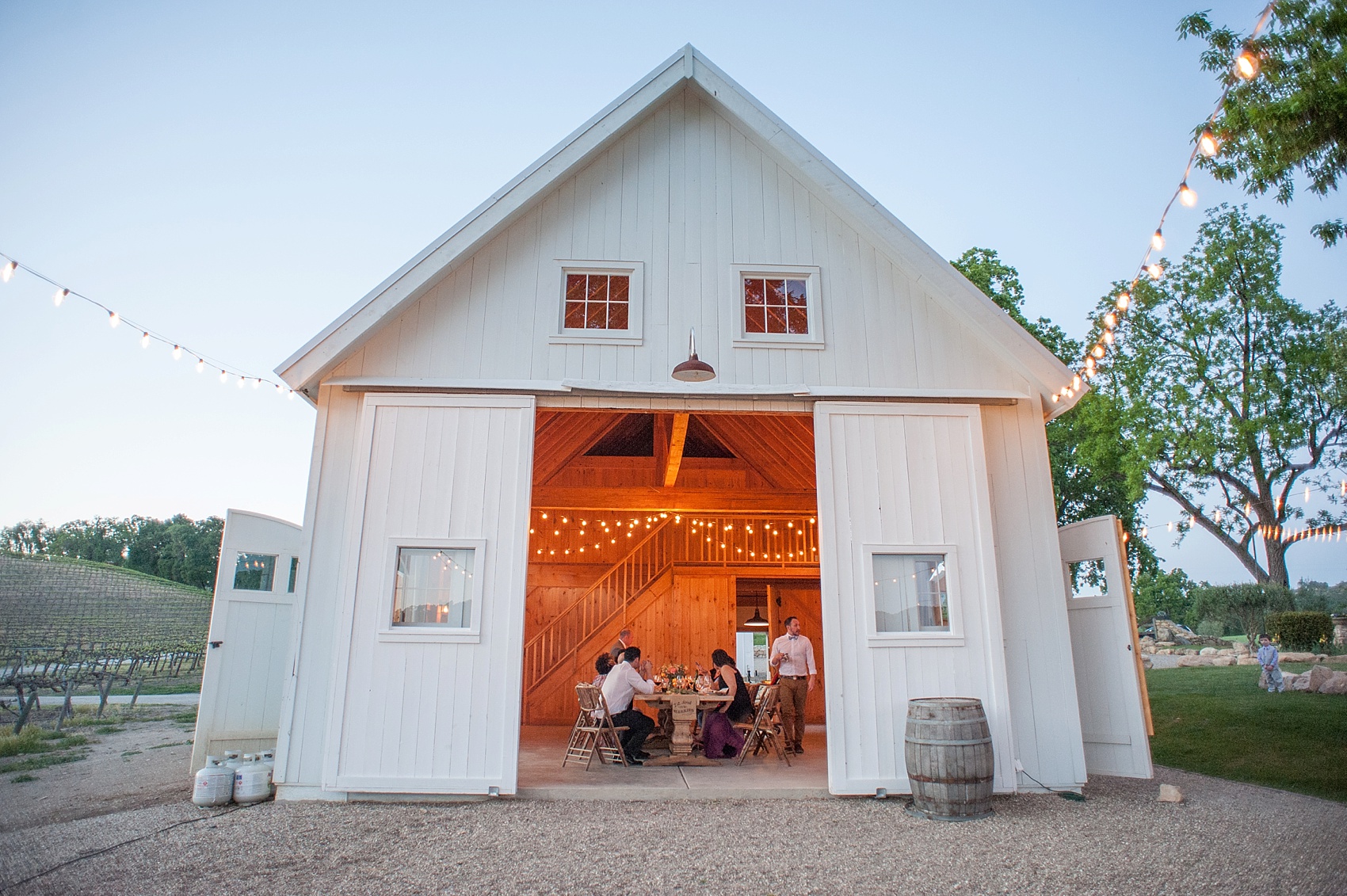 Spring vineyard elopement with barn reception. Photos by Mikkel Paige, destination wedding photographer. Held at HammerSky Vineyard, south of San Francisco.