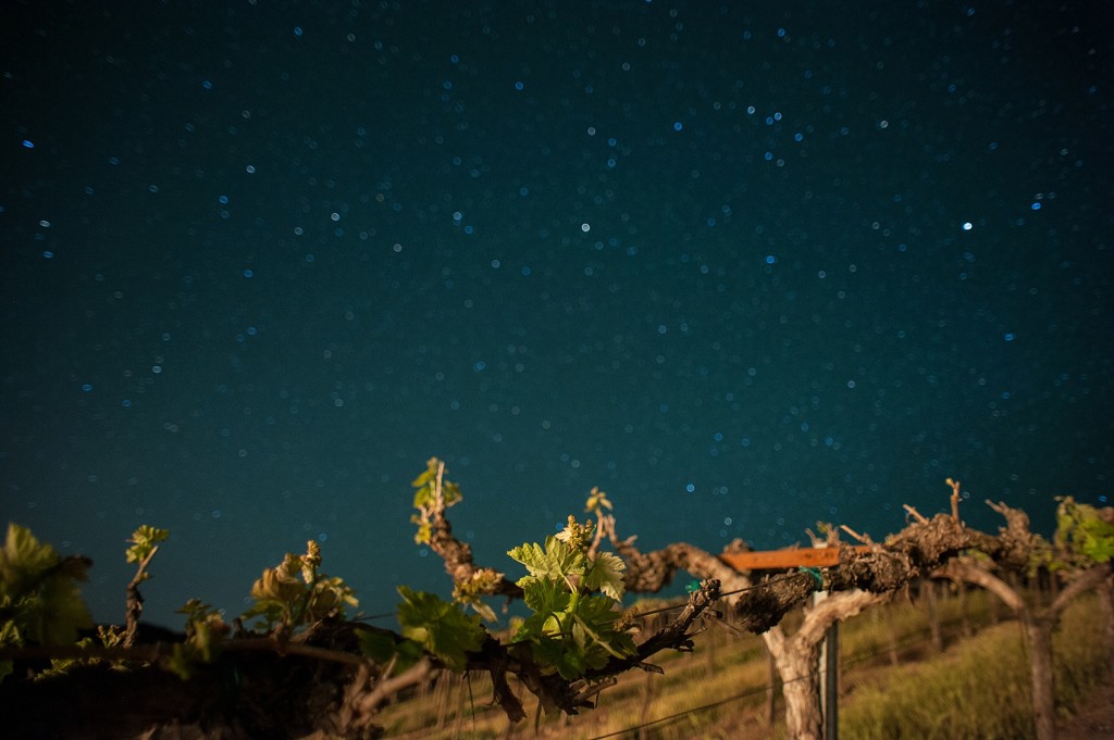 Spring vineyard elopement with barn reception. Night star photos by Mikkel Paige, destination wedding photographer. Held at HammerSky Vineyard, south of San Francisco.