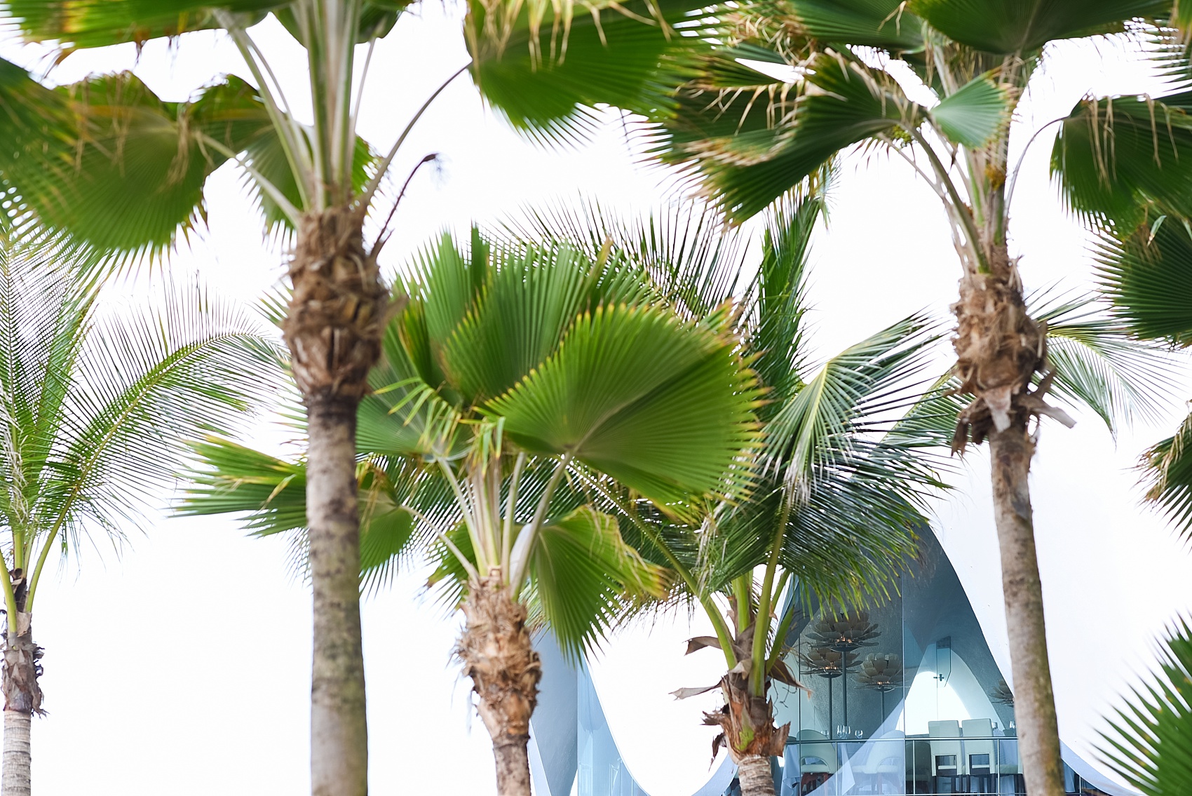 Destination wedding photographer summer 2015 travel schedule. Mikkel Paige Photography.