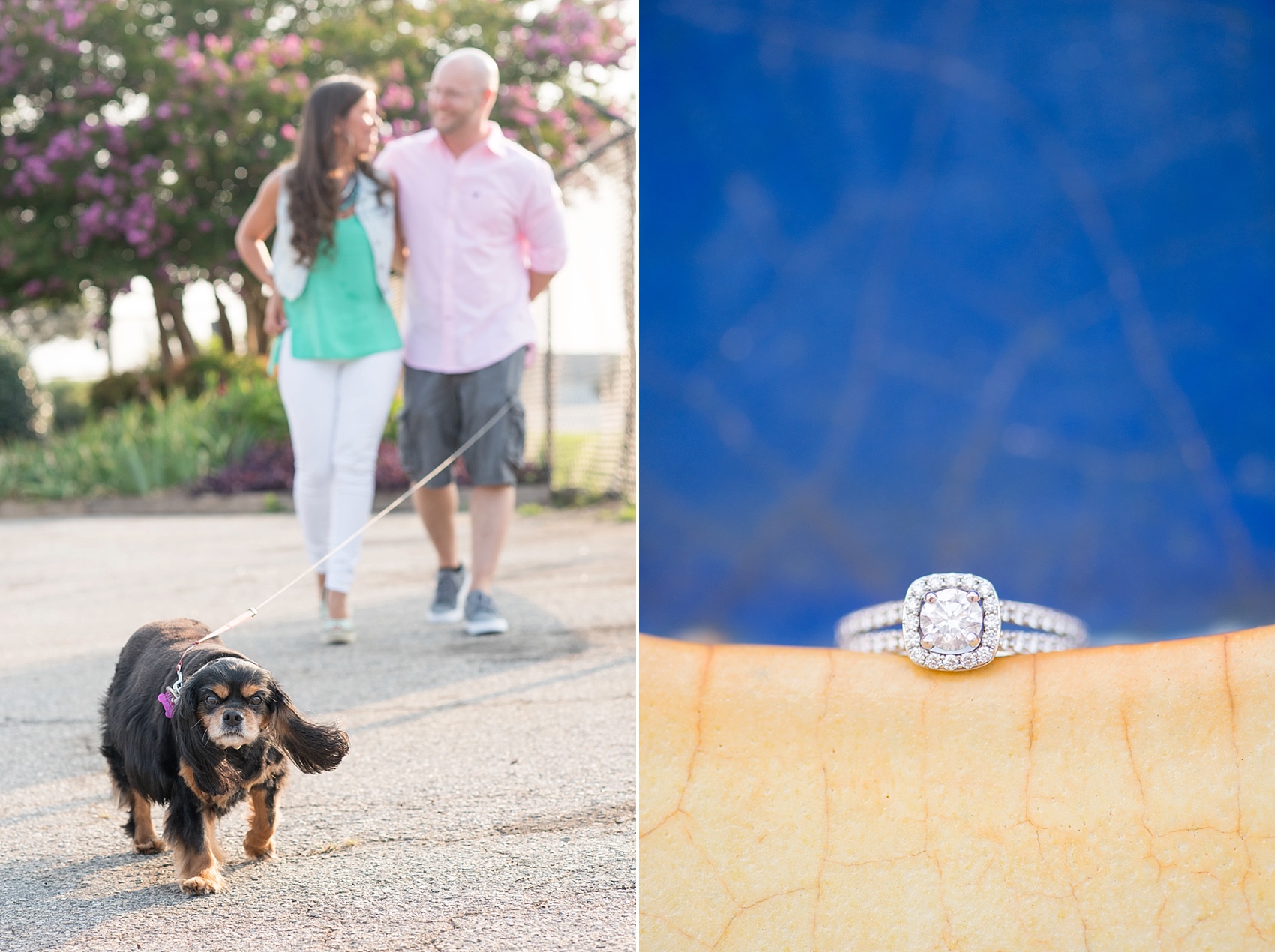 Raleigh wedding photographer captures a couple and their dog at their engagement session.