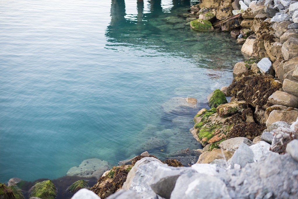 Norway wedding photos by Mikkel Paige Photography, destination wedding photographer. Waterfront reception in the north of Norway, Arctic Circle.