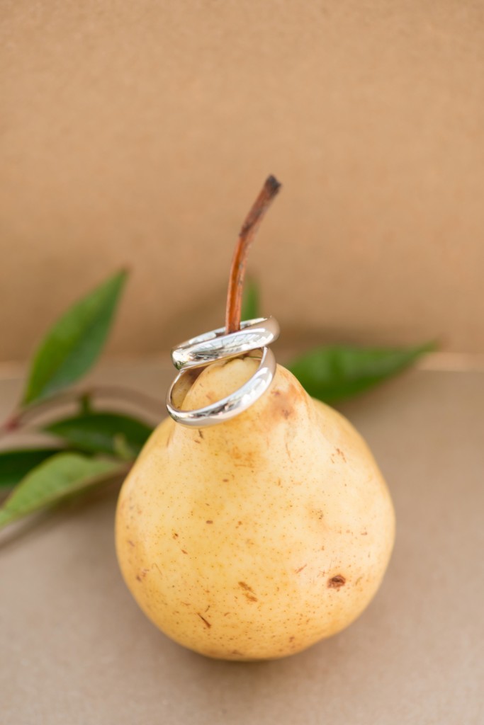 Crabtree Kittle's House wedding in NY. Images by Mikkel Paige Photography for a gay fall wedding. Detail image of Tiffany & Co. wedding bands.