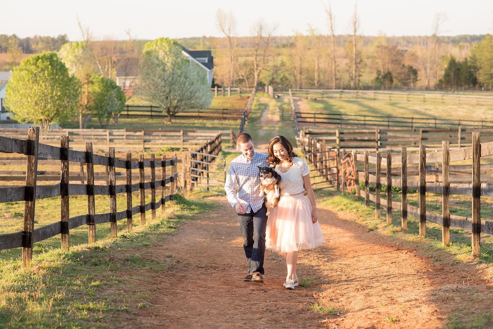 Raleigh farm engagement photos during the golden hour with a pink tulle skirt. Images by Mikkel Paige Photography. 
