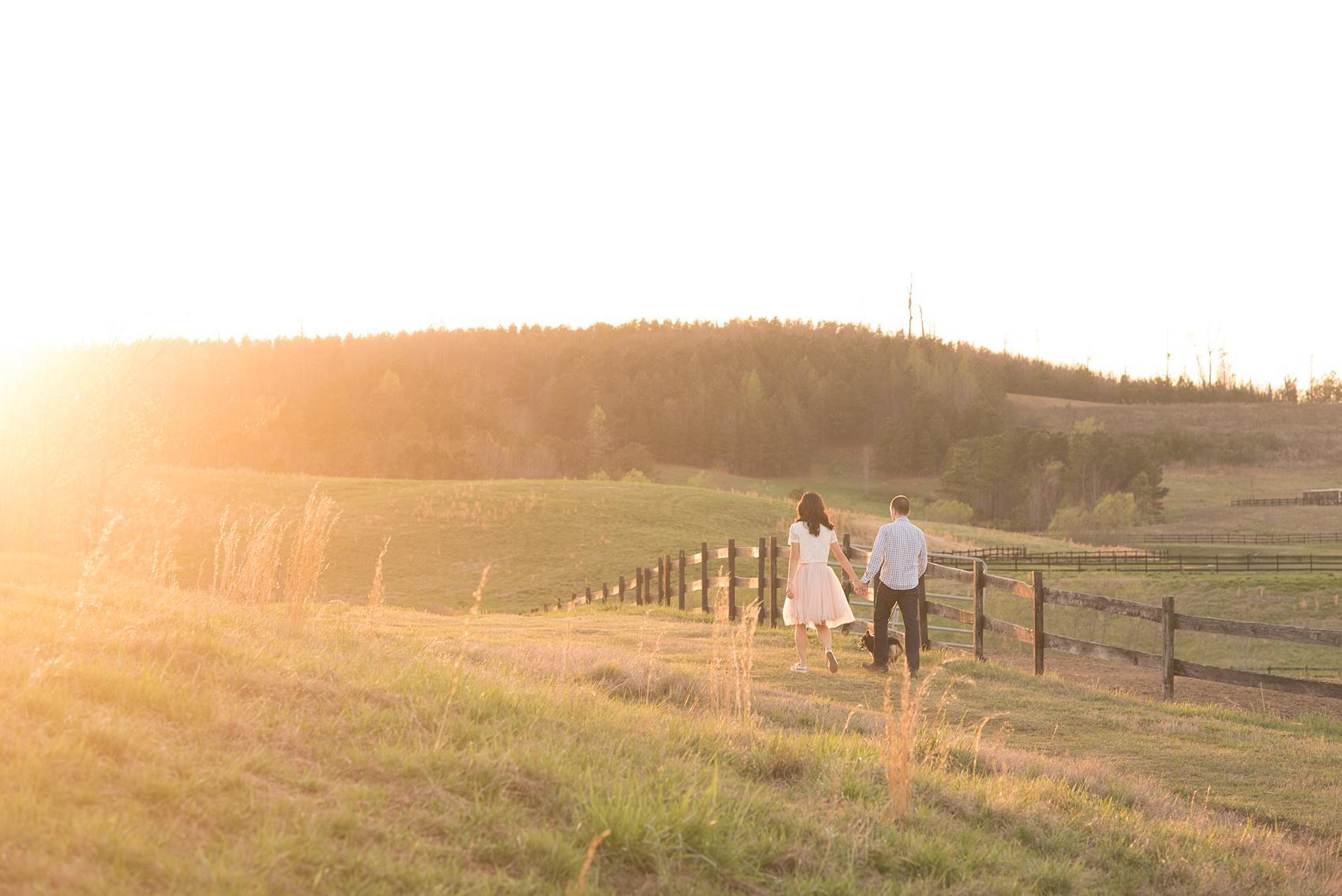 Raleigh farm engagement photos during the golden hour with rolling hills during the golden hour. Images by Mikkel Paige Photography.