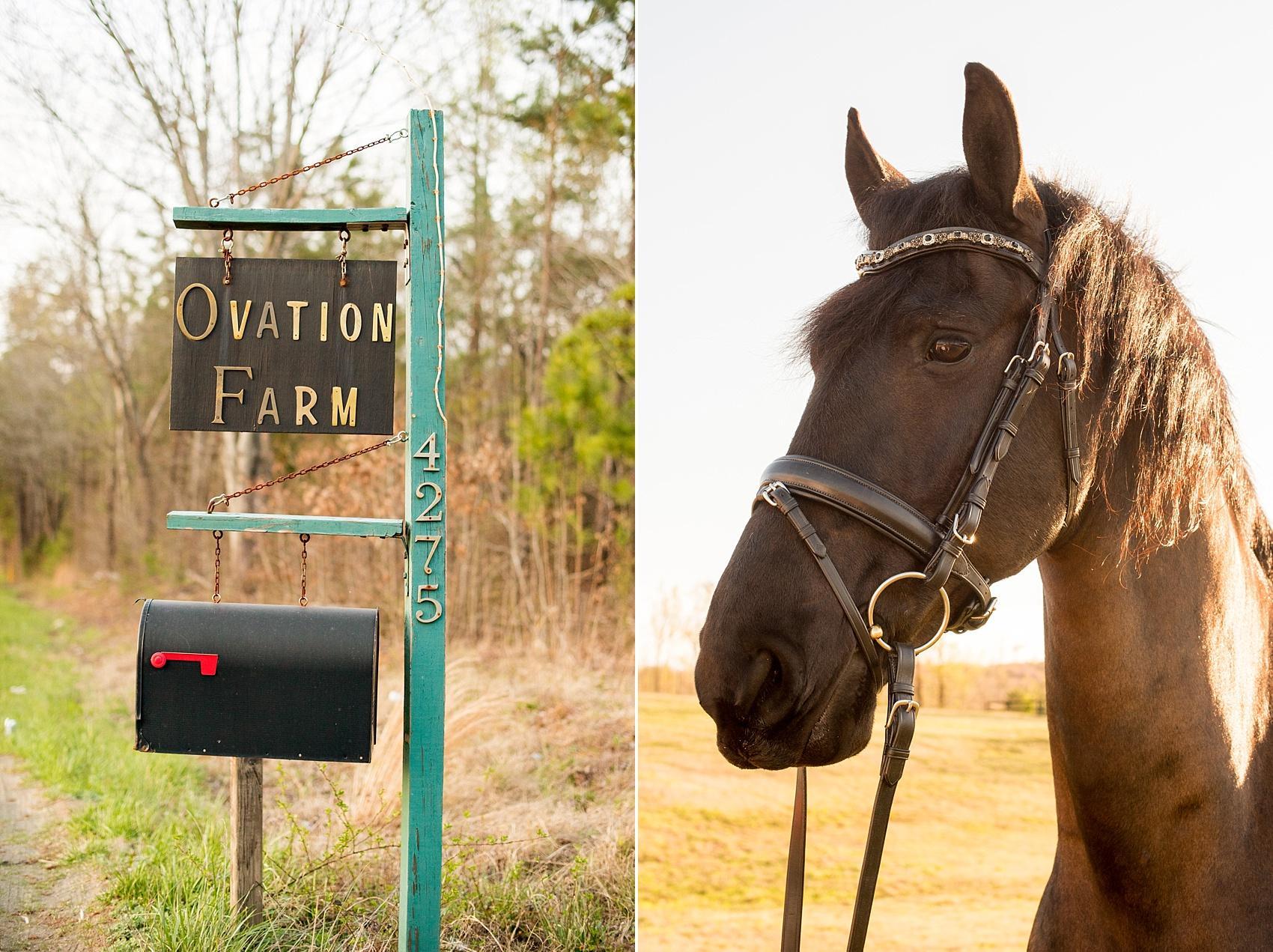 Raleigh engagement photos at Ovation Farm in Sanford by Mikkel Paige Photography. Farm sign and Pieter the brown horse completed the golden hour session.
