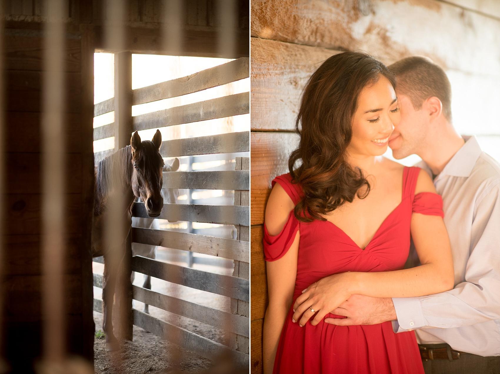 Raleigh engagement photos at Ovation Farm in Sanford by Mikkel Paige Photography. Sweet photos in the stable during golden hour.
