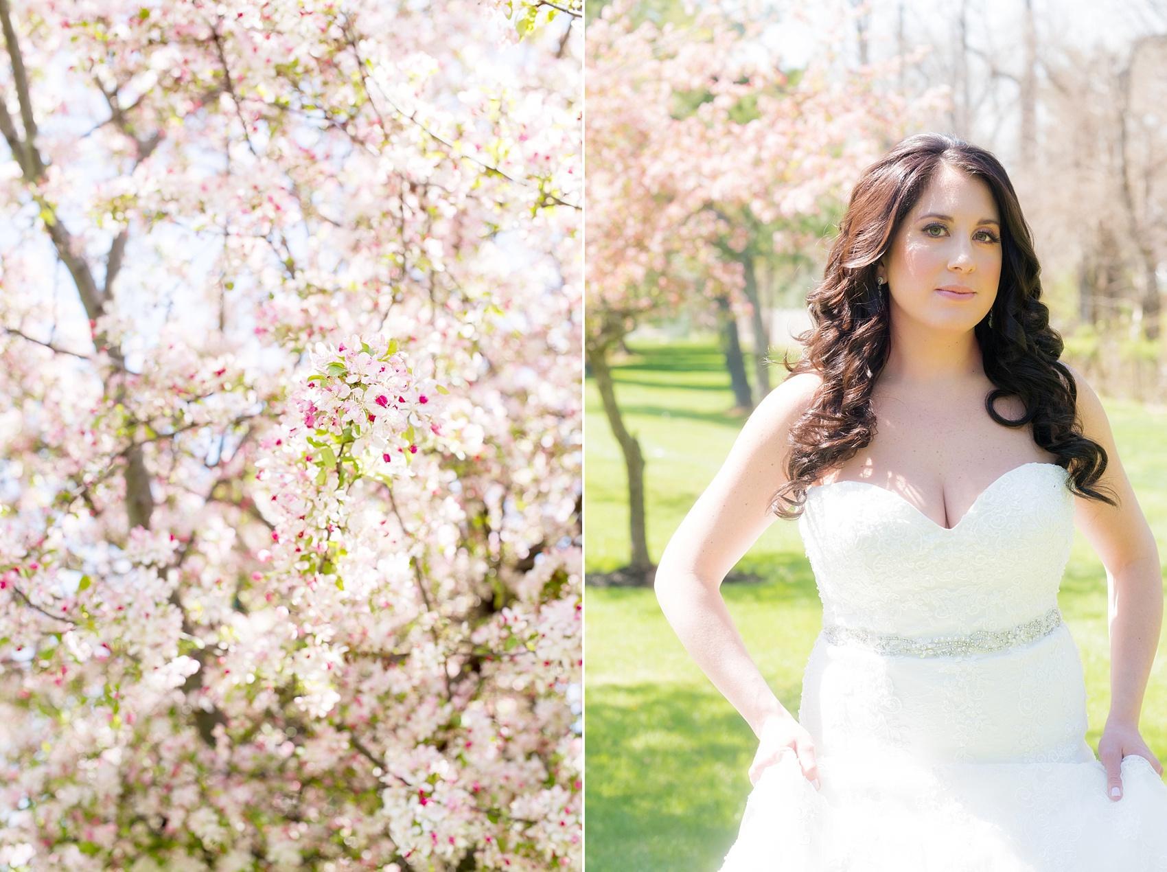 Photo by Mikkel Paige photography. Cherry blossom bridal portraits during the bride's spring wedding in New Jersey. 