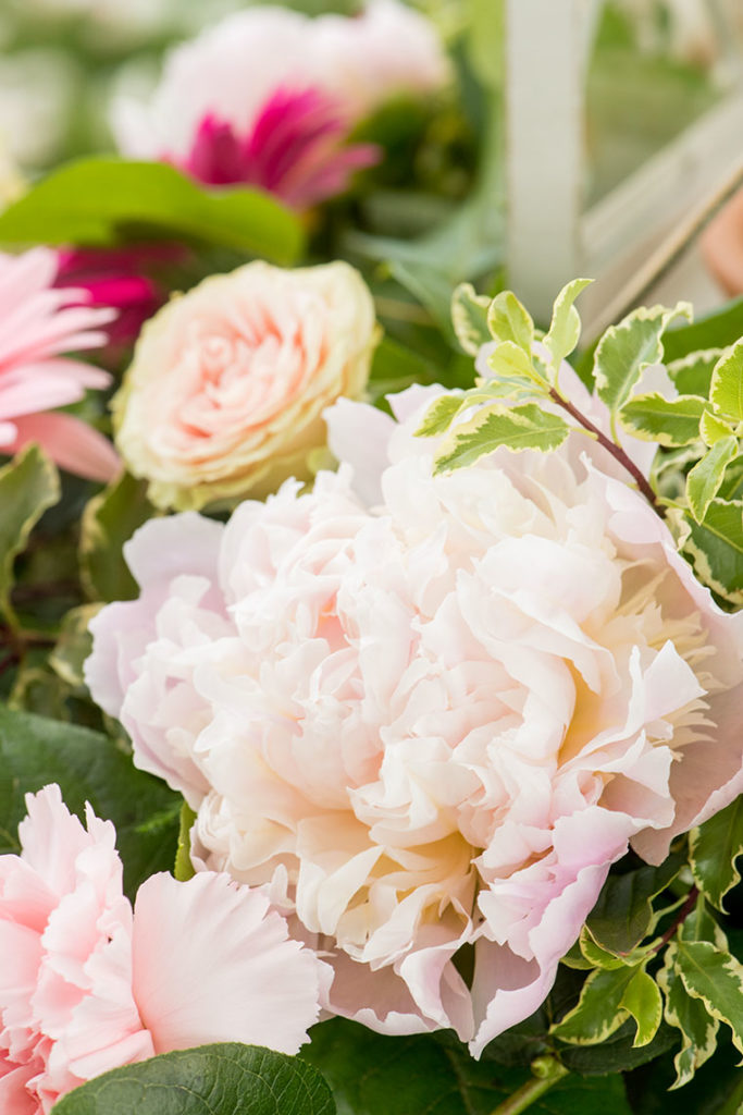 Mikkel Paige Photography, NYC wedding photographer, captures a marriage proposal at Glenmere Mansion in the lower Hudson Valley region.