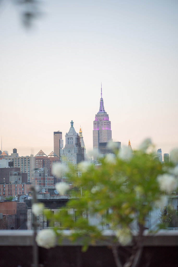 NYC rooftop proposal photos by Mikkel Paige Photography, New York wedding photographer. Empire State Building view.