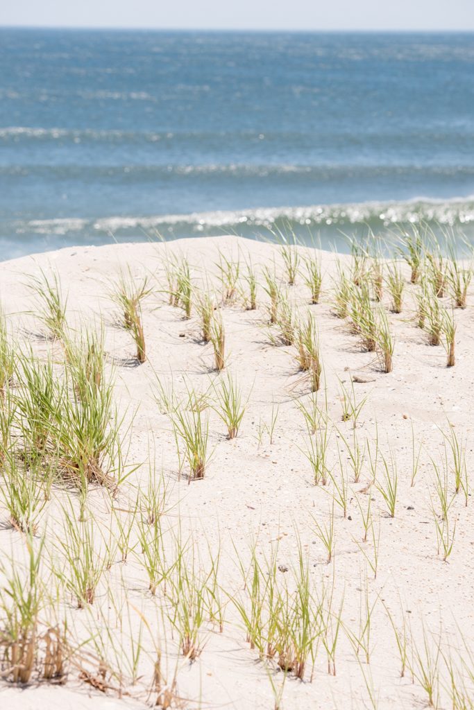 Mikkel Paige Photography captures a Bay Head, NJ engagement session near the Yacht Club on the water.