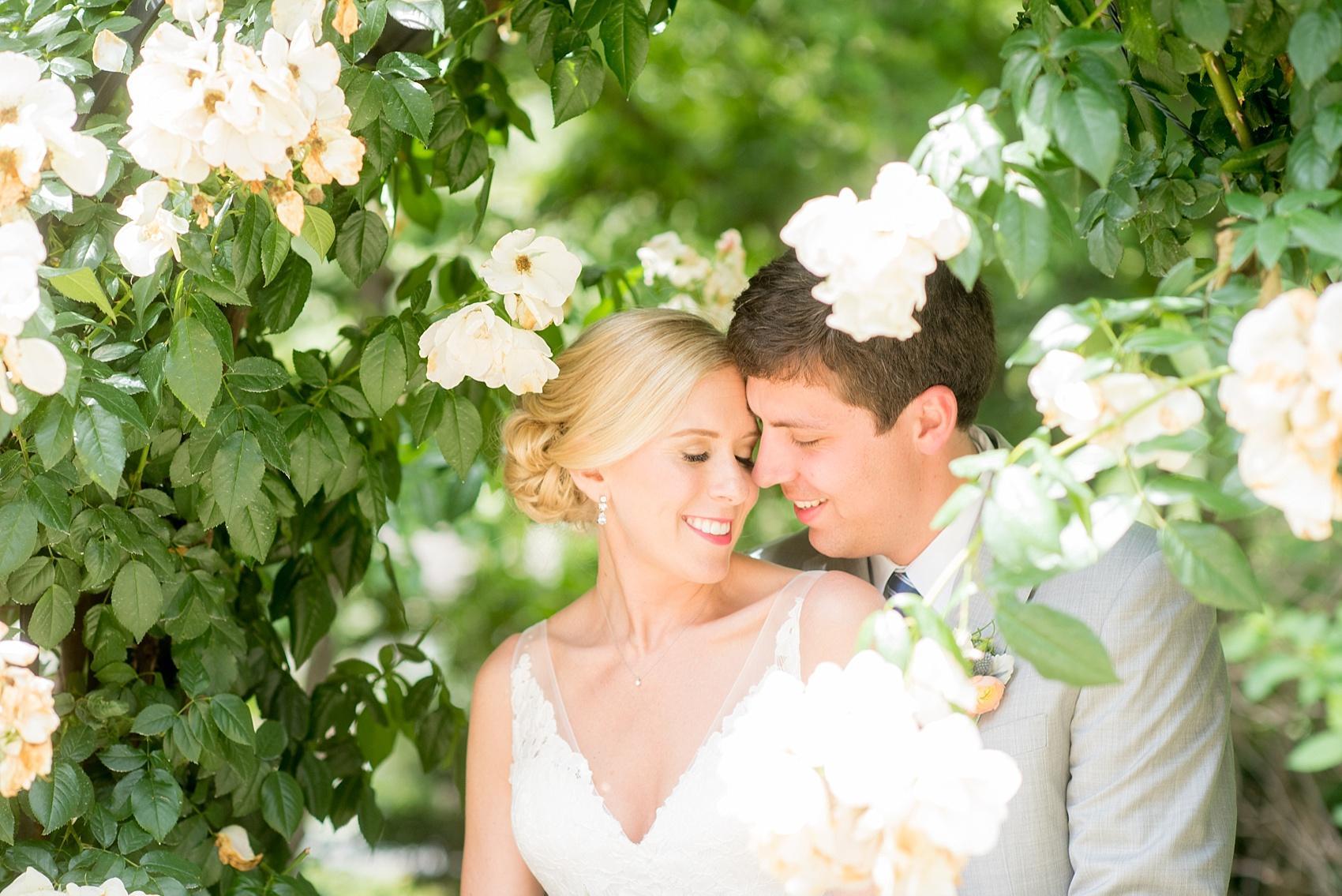 Mikkel Paige Photography photos of a wedding in downtown Raleigh with the bride and groom in a rose bush for a May wedding.