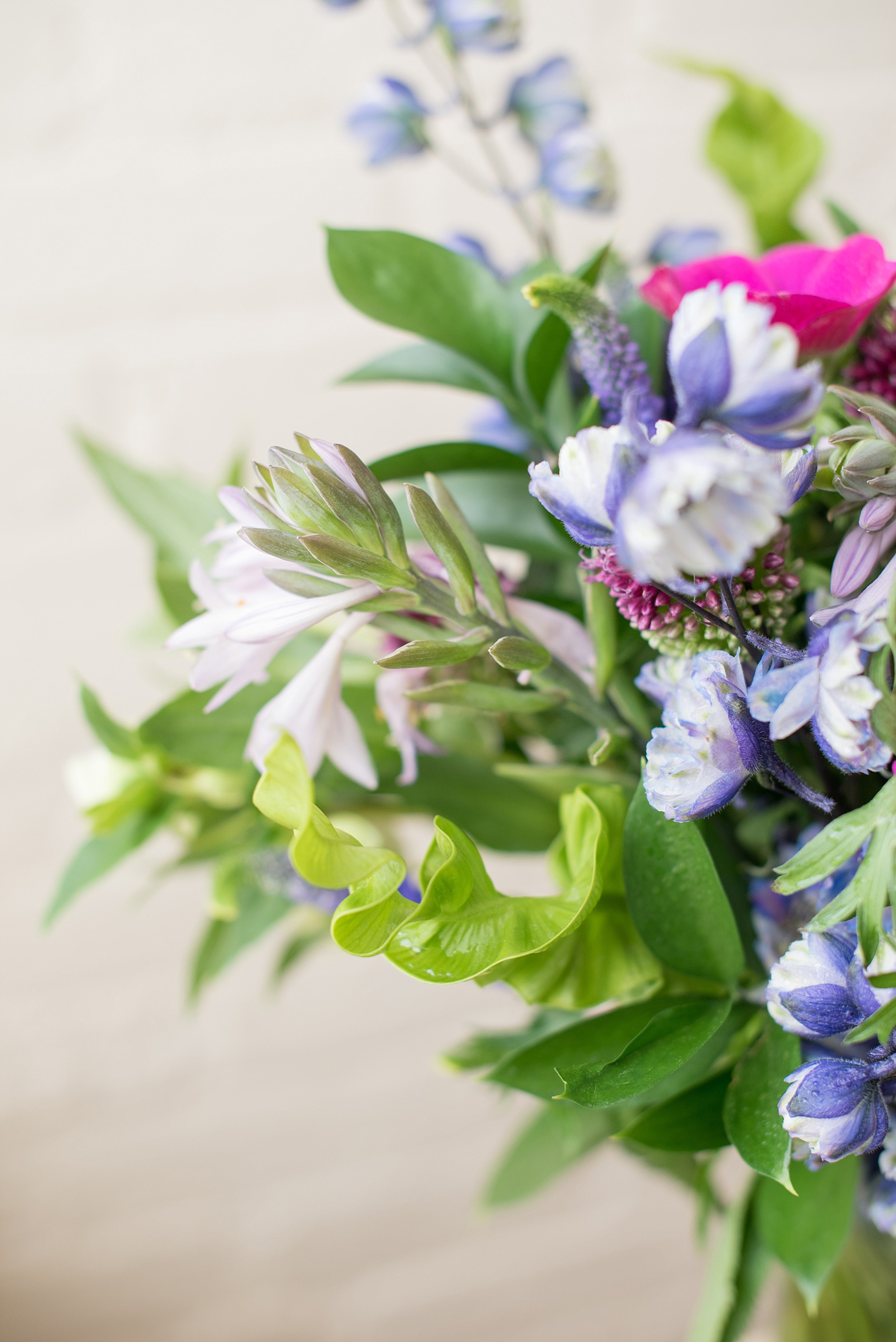 Mikkel Paige Photography photo of an anniversary session with a colorful bouquet of fuchsia and purple, including anemones, larkspur, helliborus and veronica flowers.