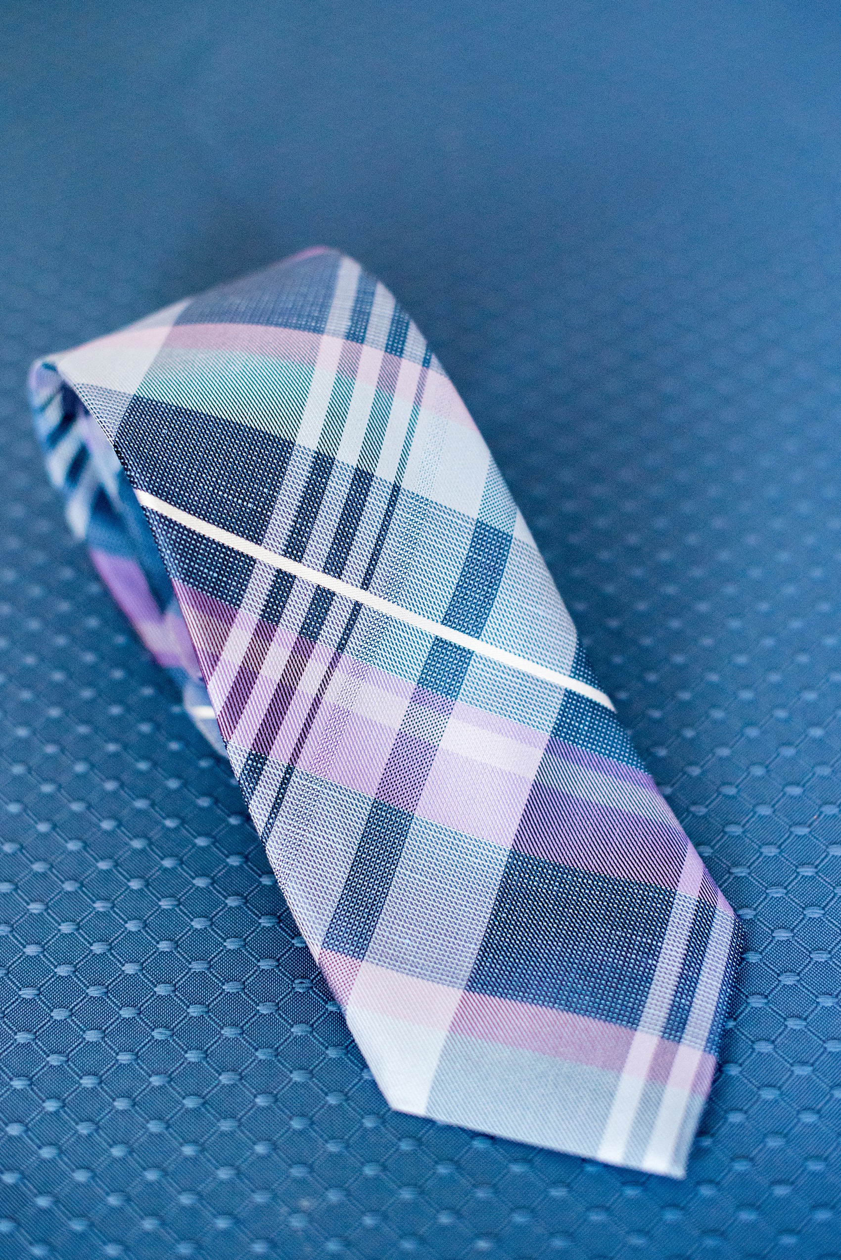 Mikkel Paige Photography photo of an anniversary session with the groom in a plaid navy blue, light blue white and purple tie.
