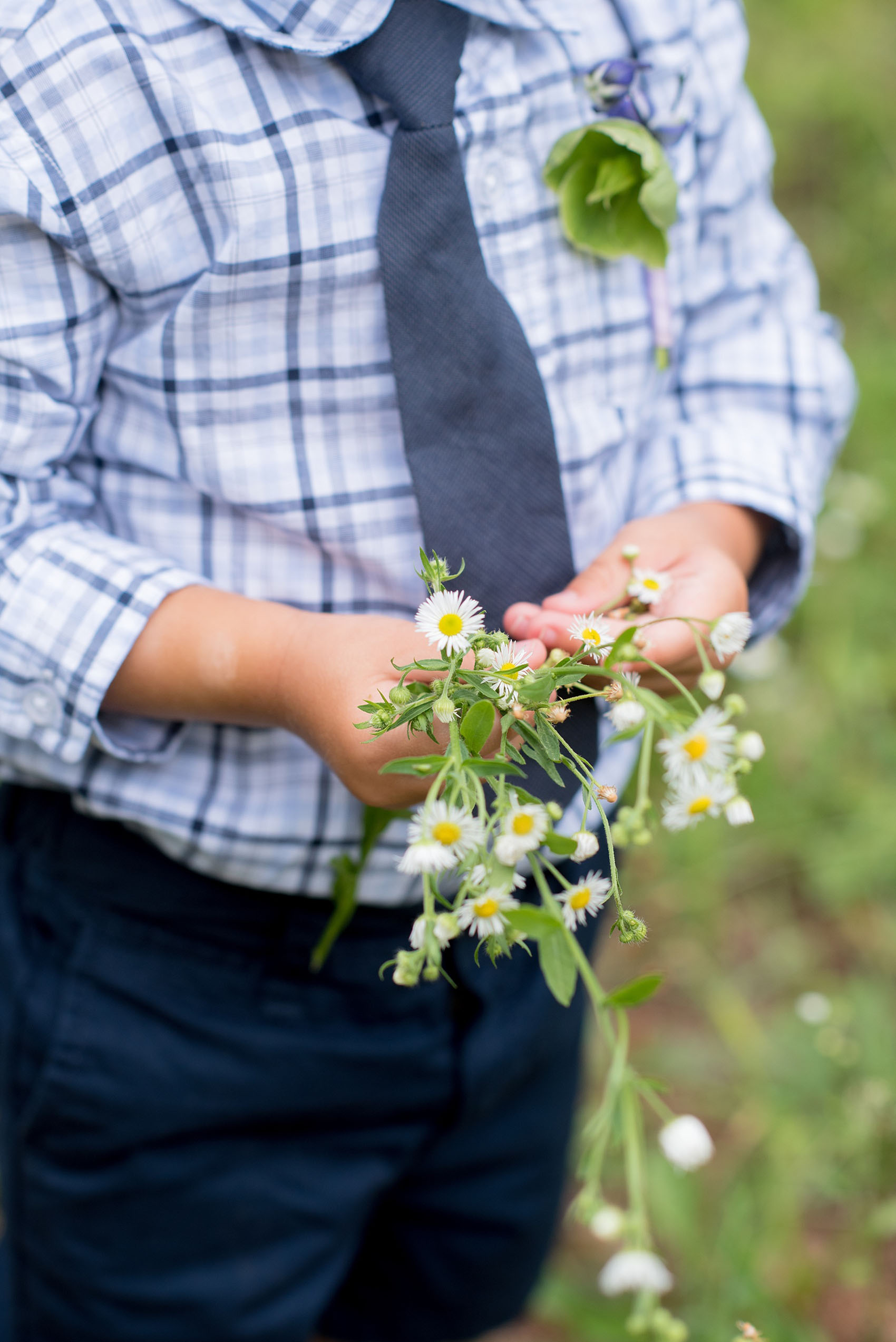 Mikkel Paige Photography photo of an anniversary session with the bride and groom's son ring bearers in plaid shirts and navy tie in a flower field.