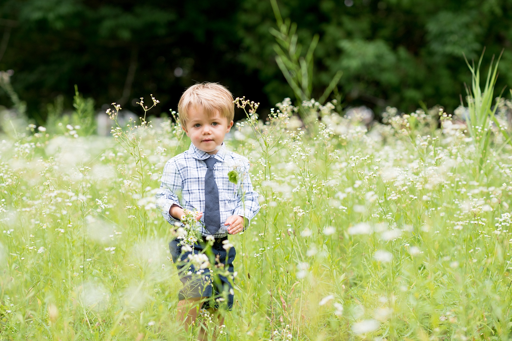 Mikkel Paige Photography photo of an anniversary session with the bride and groom's son ring bearers in plaid shirts and navy tie in a flower field.