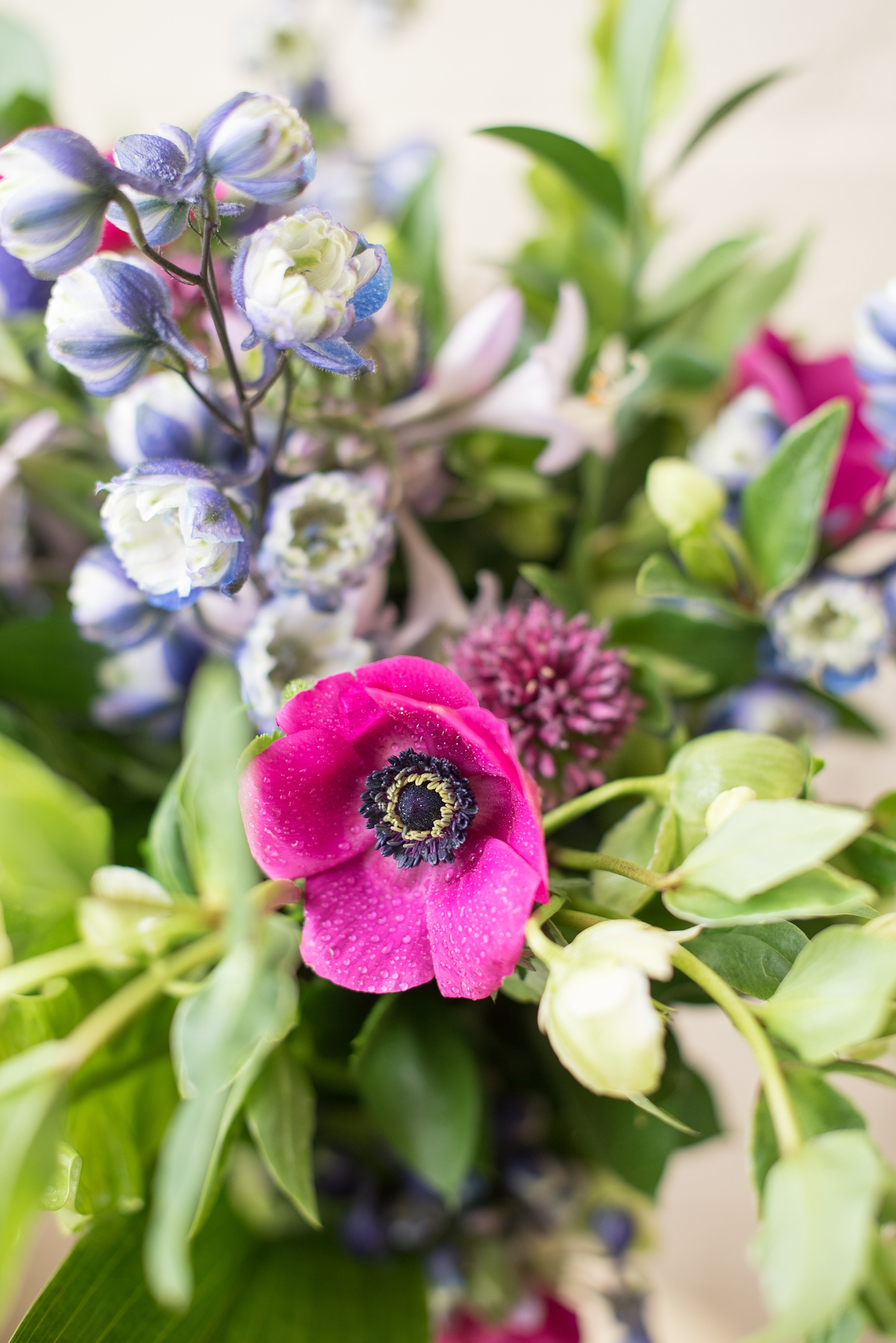 Mikkel Paige Photography photo of an anniversary session with a colorful bouquet of fuchsia and purple, including anemones, larkspur, helliborus and veronica flowers.