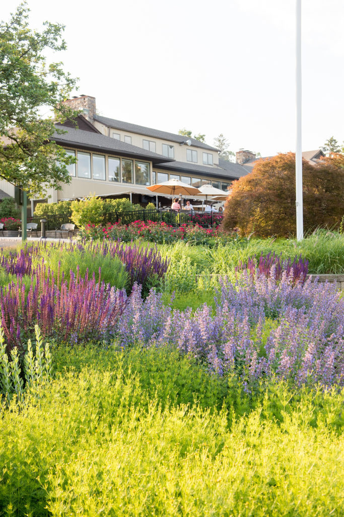 Basking Ridge Country Club wedding with purple flowers on the golf club property in New Jersey.