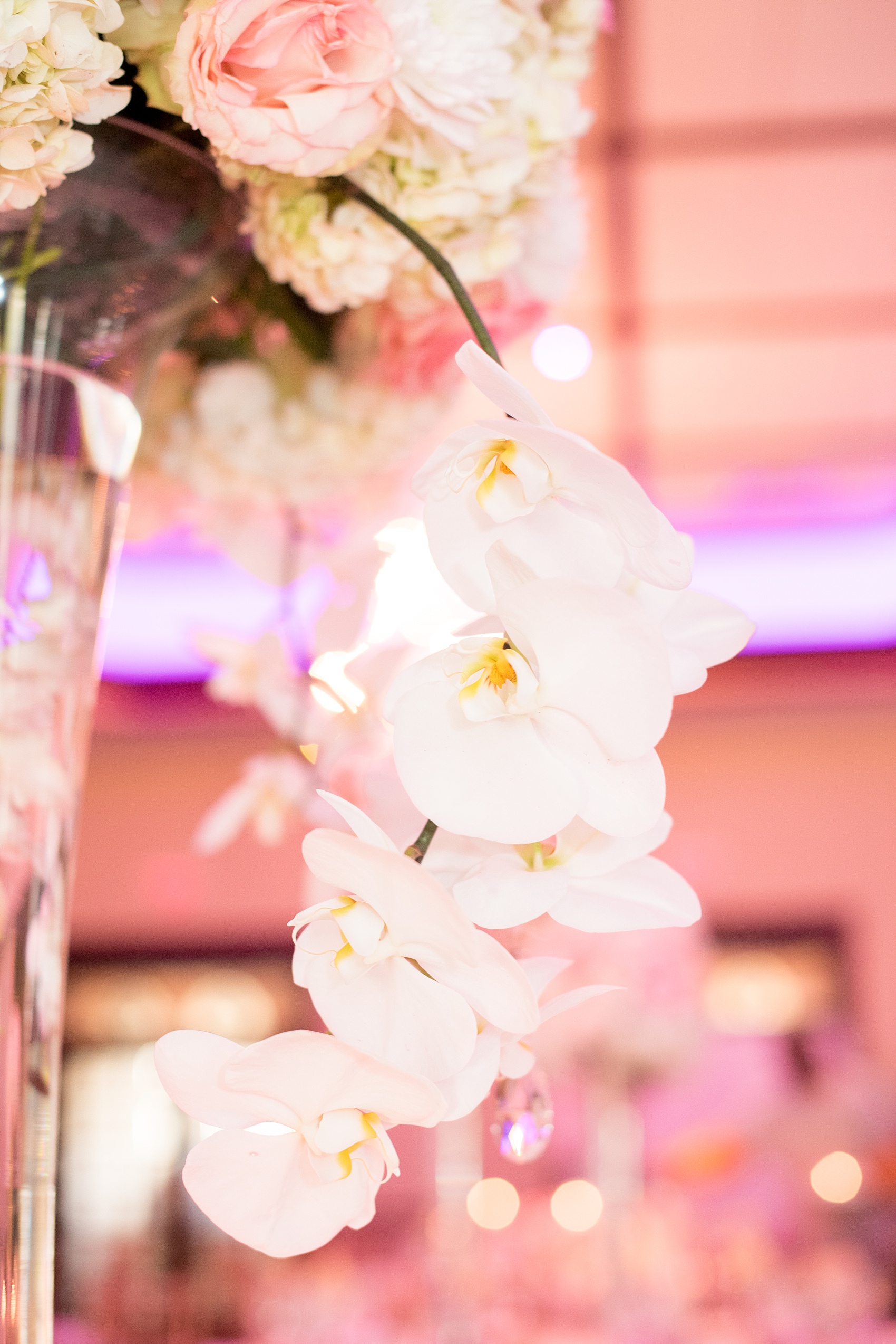 Mikkel Paige Photography photos of an elegant reception with pink and white details at Temple Emanu-El in Closter, NJ with white orchid centerpieces.