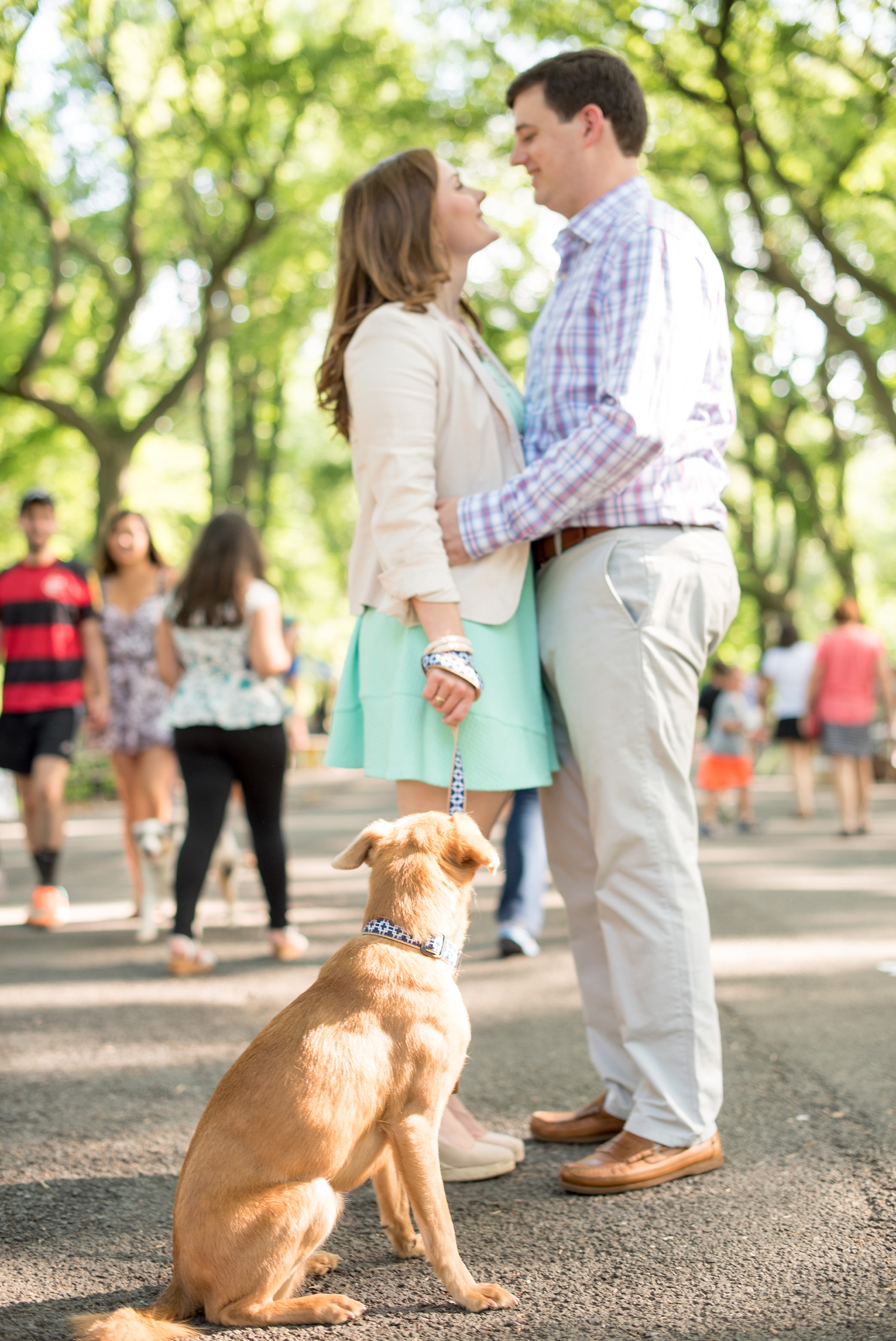 Mikkel Paige Photography tips for bringing your dog to your engagement photo session with an image of a dog and bride and groom in Central Park, NYC.