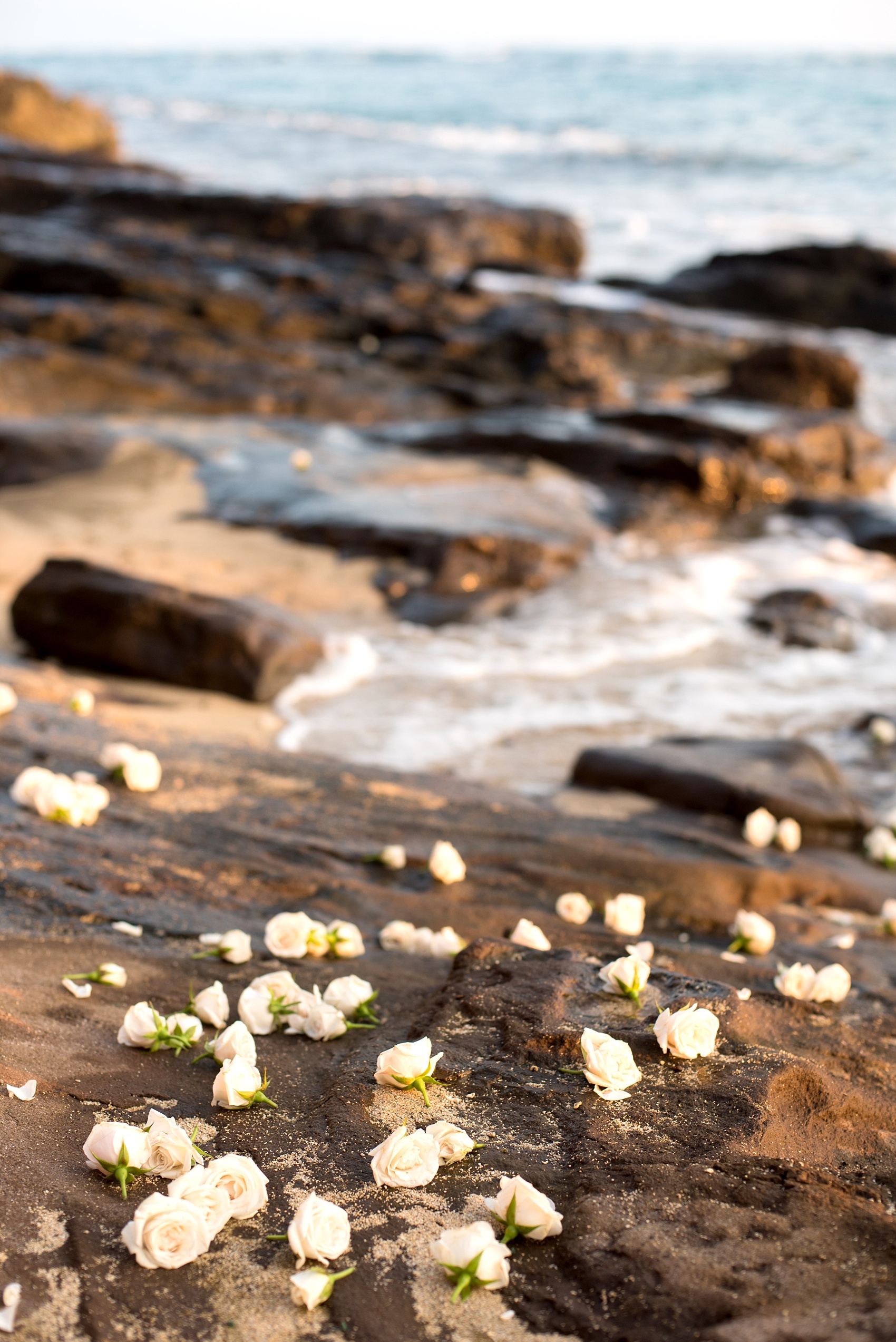 mikkelpaige-hawaii_beach_bride_photos_0014