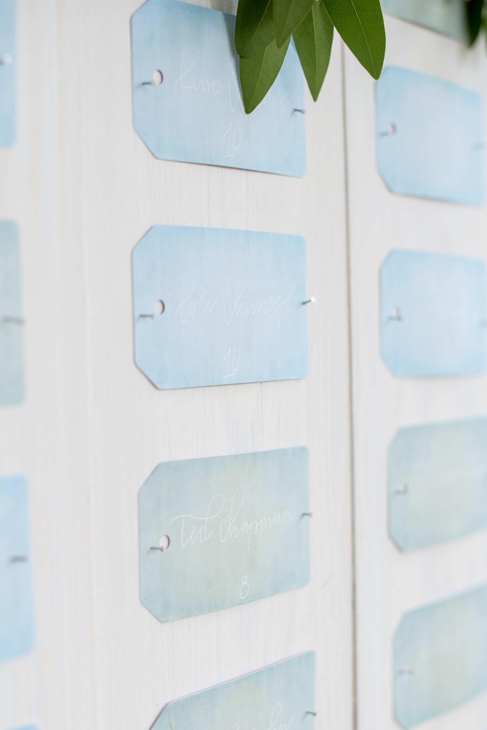 Mikkel Paige Photography wedding photos at The Merrimon-Wynne House in downtown Raleigh. A picture of the guest escort card board with blue and green tags with white calligraphy and eucalyptus garland.