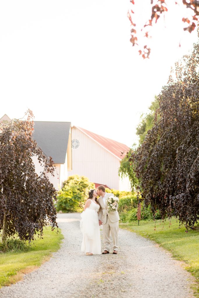 Mikkel Paige Photography photos of a wedding at Spring Hill Manor in Maryland. Image of the bride and groom walking down the rustic entry path with purple trees.