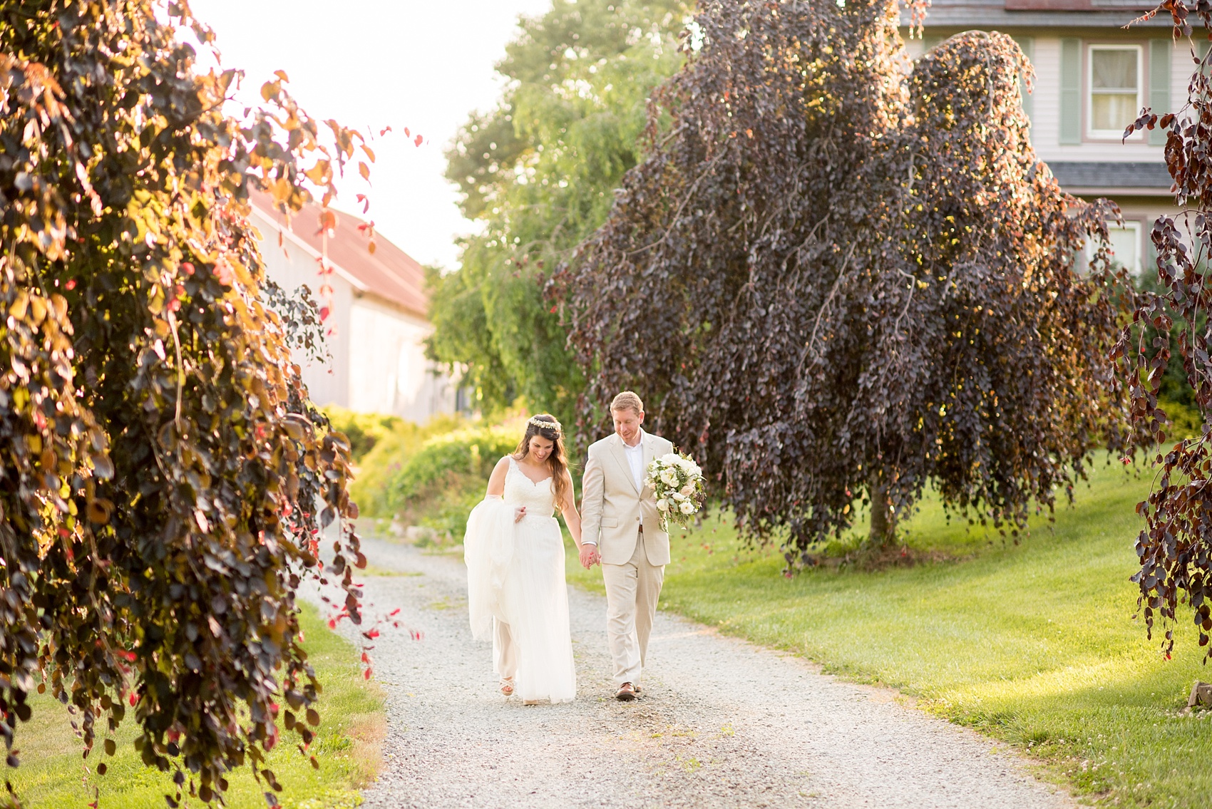 Mikkel Paige Photography photos of a wedding at Spring Hill Manor in Maryland. Image of the bride and groom walking down the rustic entry path with purple trees.