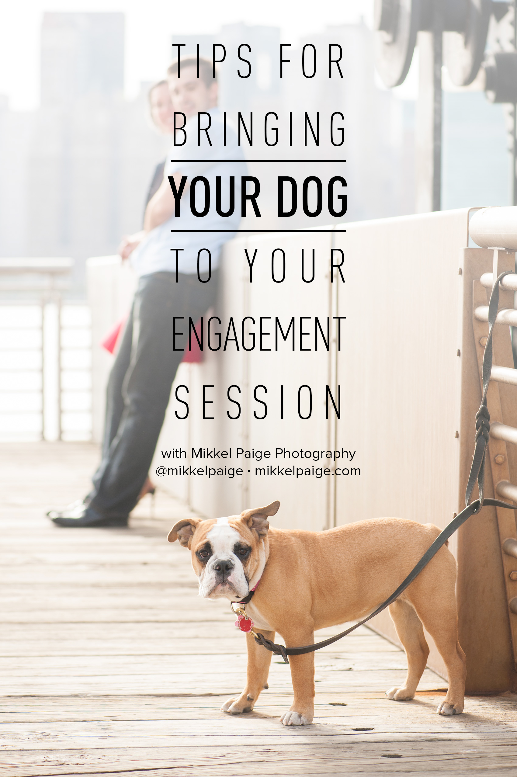 4 Tips for Bringing Your Dog to Your Engagement session with Mikkel Paige Photography, NYC and Raleigh based wedding photographer. From what tricks work to who needs to be there we have you covered! Click through for the complete scoop and photo ideas! #mikkelpaige #engagementphotoswithdog #engagementpictureswithdogs