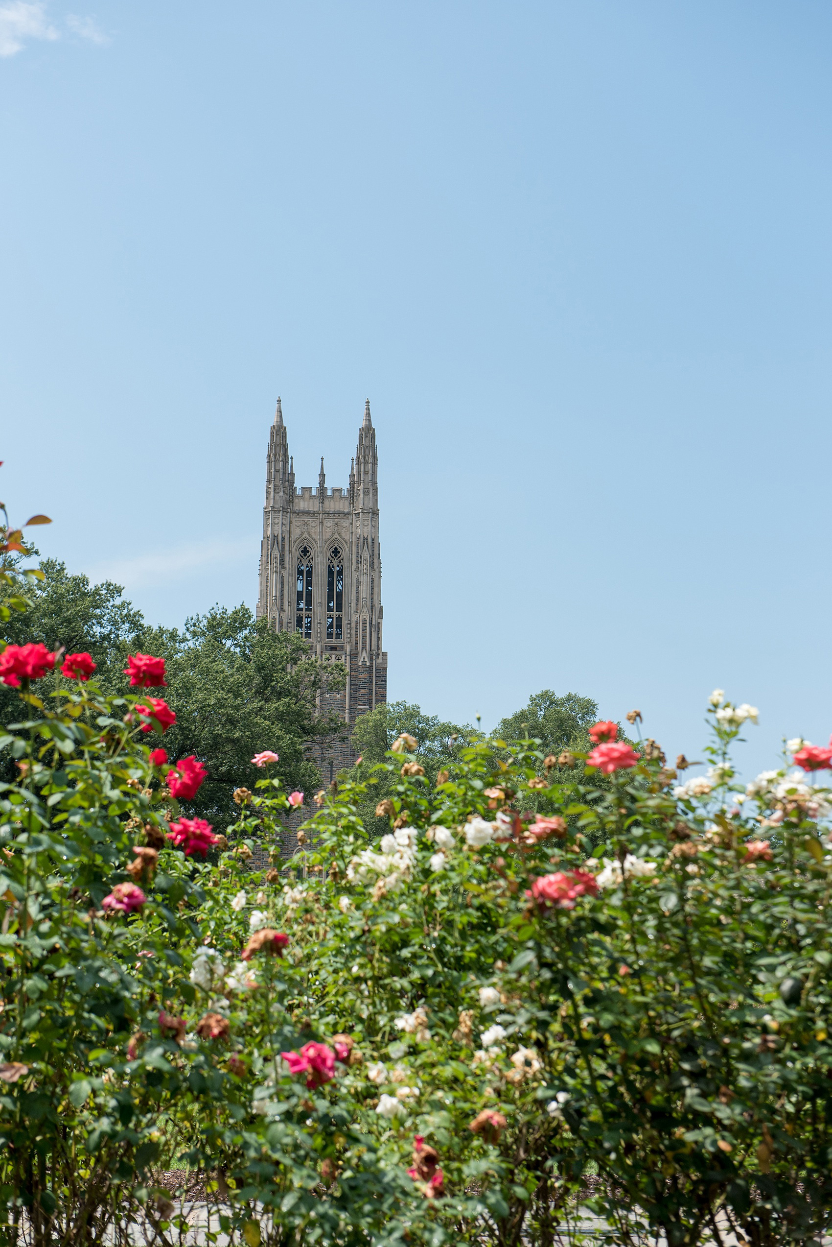 Mikkel Paige Photography photo of a Duke Chapel wedding in Durham, North Carolina. 