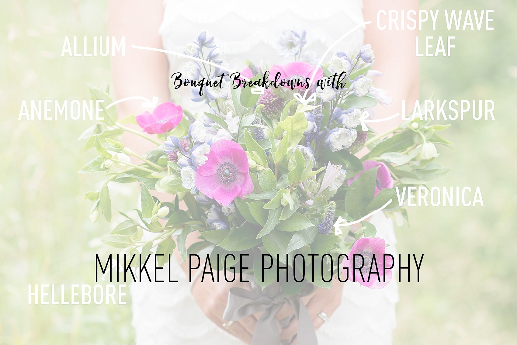 Mikkel Paige Photography bouquet breakdowns of bridal flowers. Weekly feature identifying types of flowers in floral arrangements.