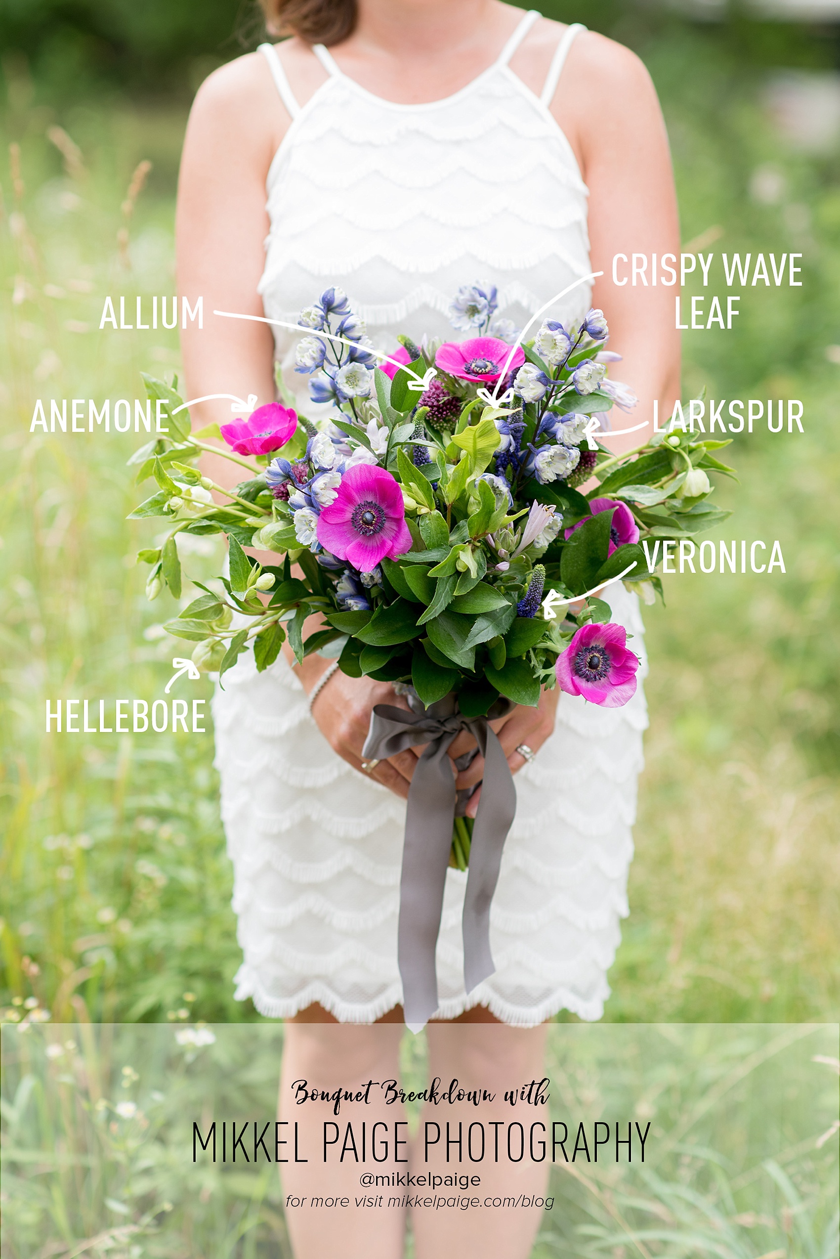 Mikkel Paige Photography bouquet breakdown of bridal flowers. Fuchsia Anemones, Crispy Wave Leaf greenery, purple Larkspur, Allium onion flowers and Veronia.