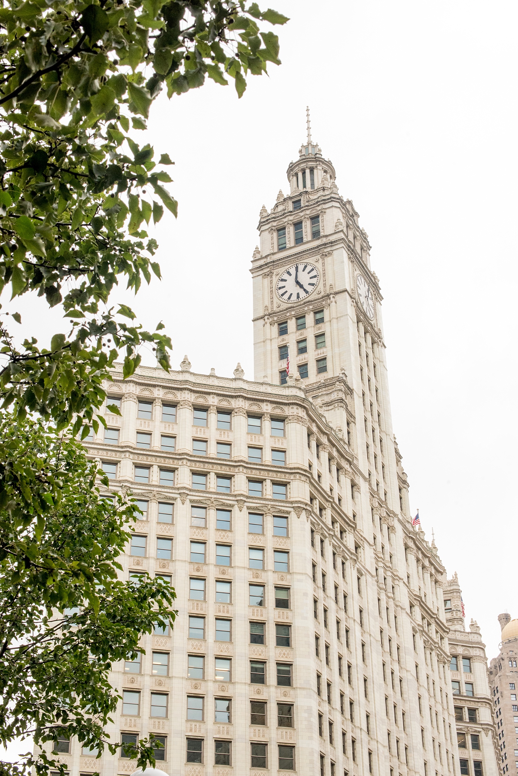 Mikkel Paige Photography photo during a downtown Chicago wedding of The Wrigley Building as seen from Riverwalk.